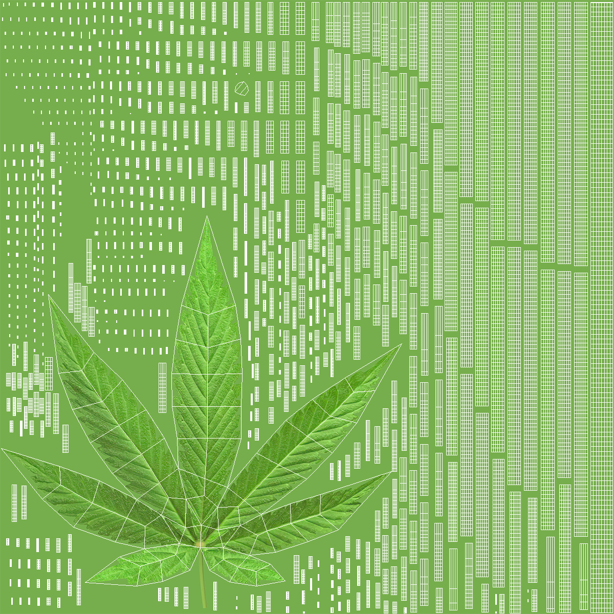 3D model Marijuana Plant