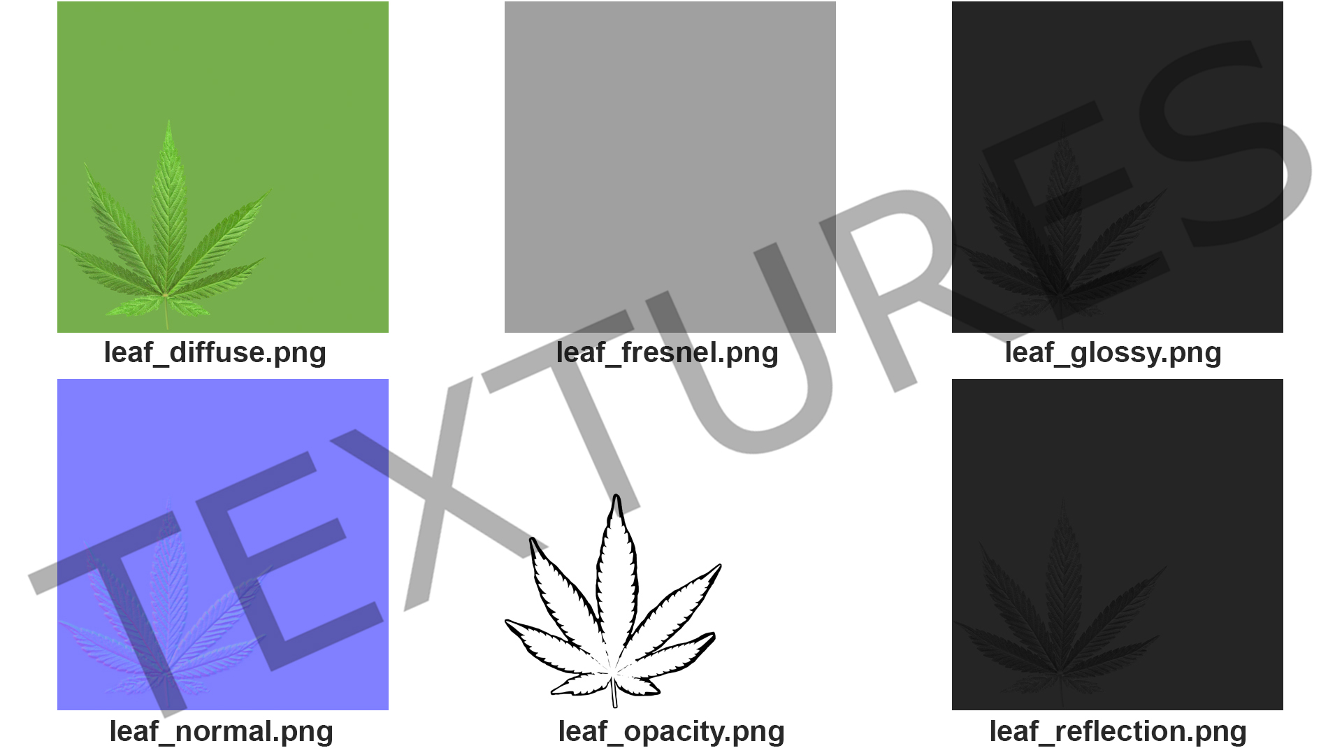 3D model Marijuana Plant