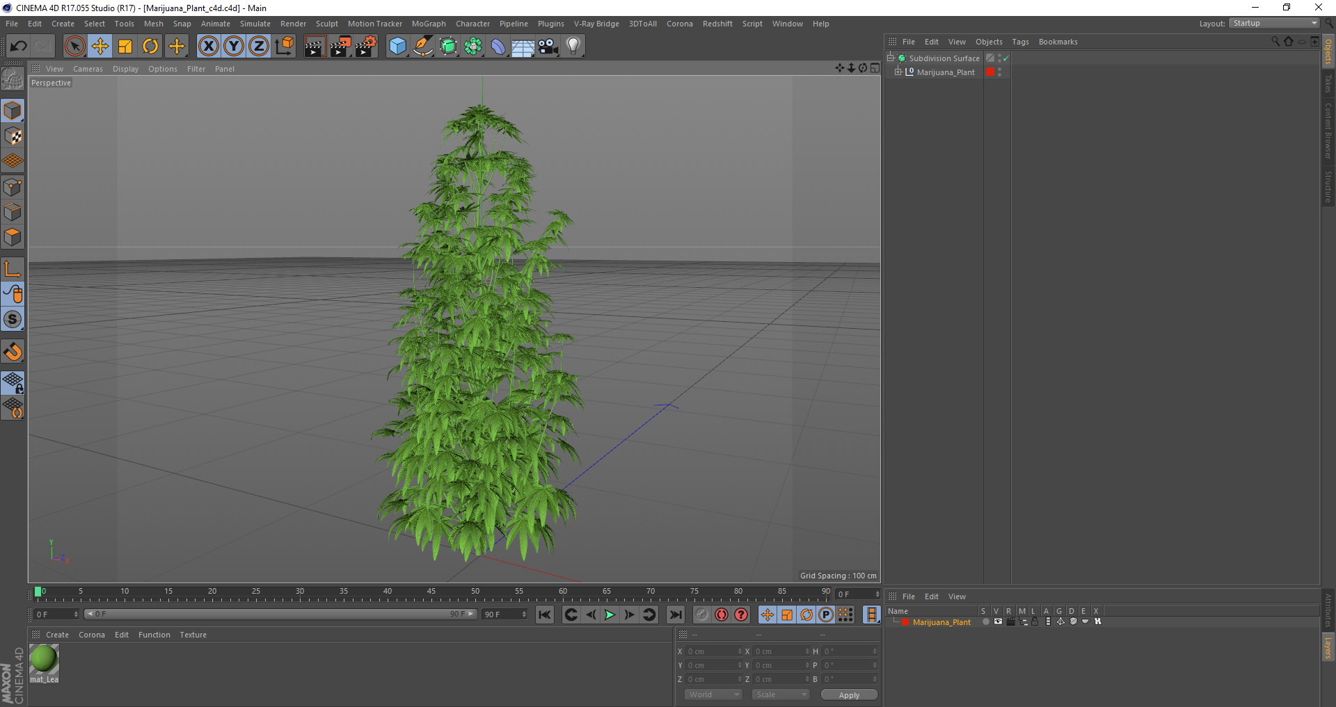3D model Marijuana Plant