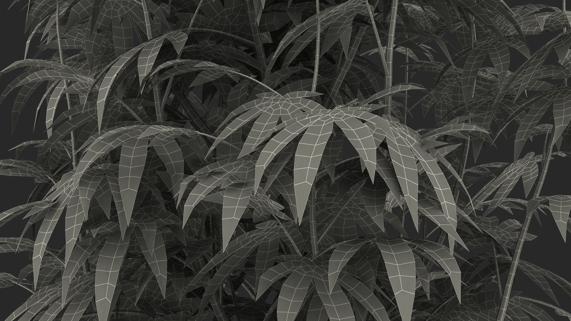 3D model Marijuana Plant