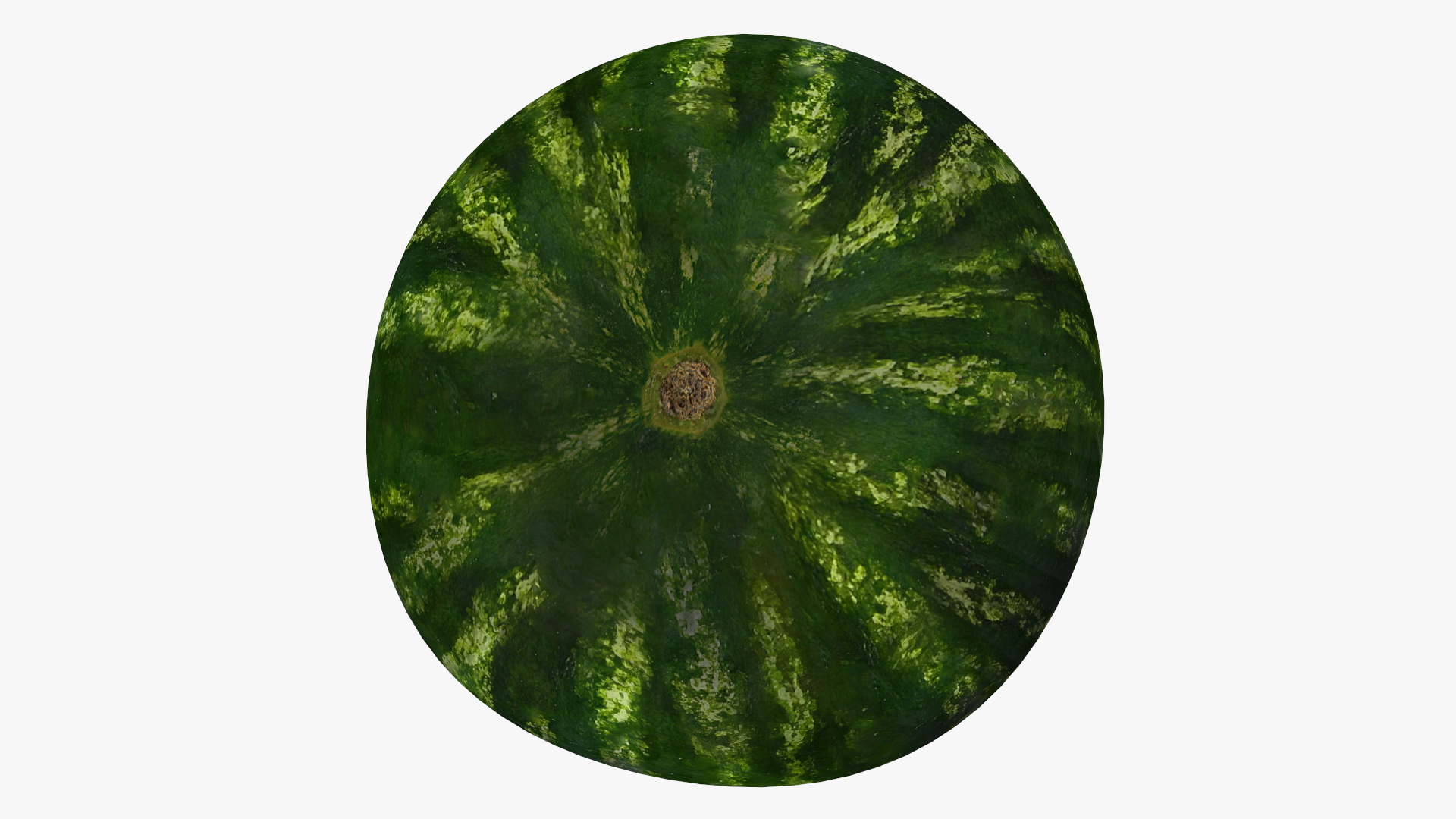 Half of Fresh Watermelon 3D model