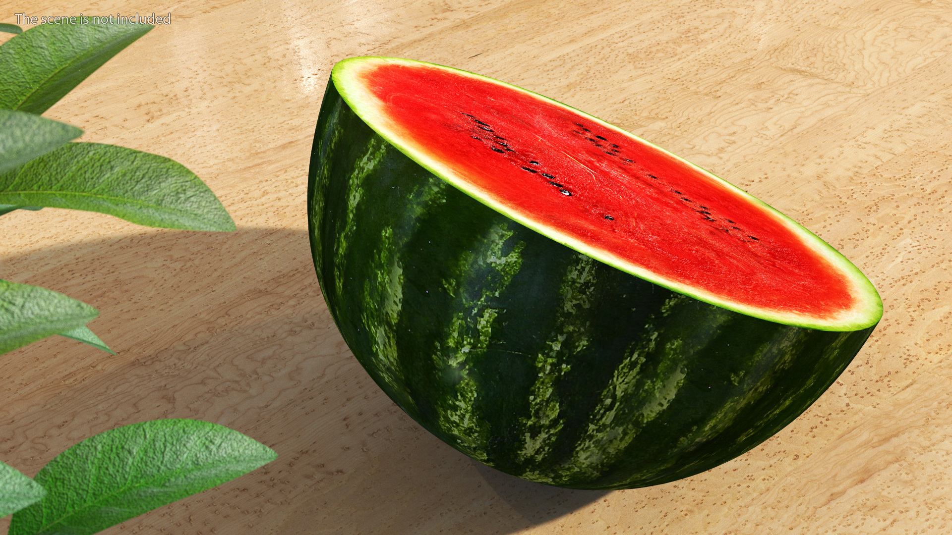 Half of Fresh Watermelon 3D model