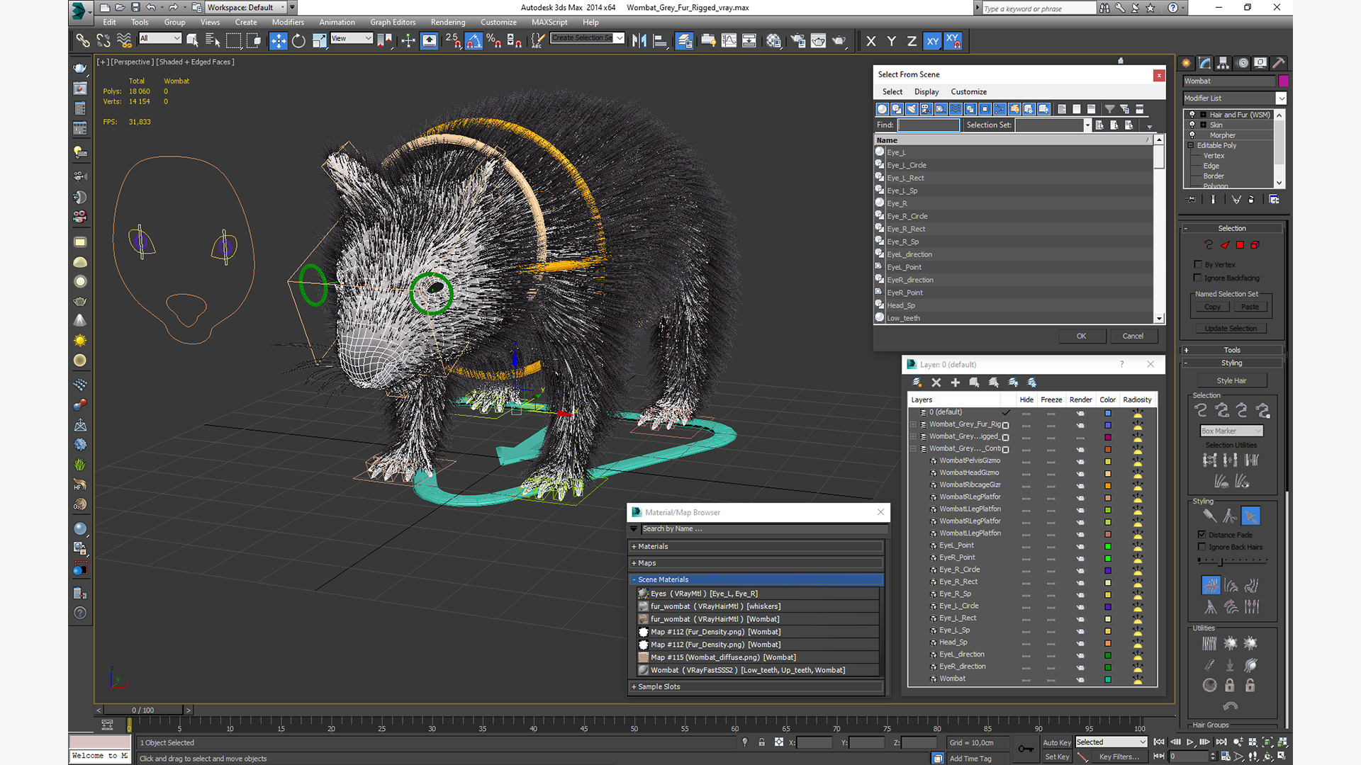 Wombat Grey Fur Rigged 3D