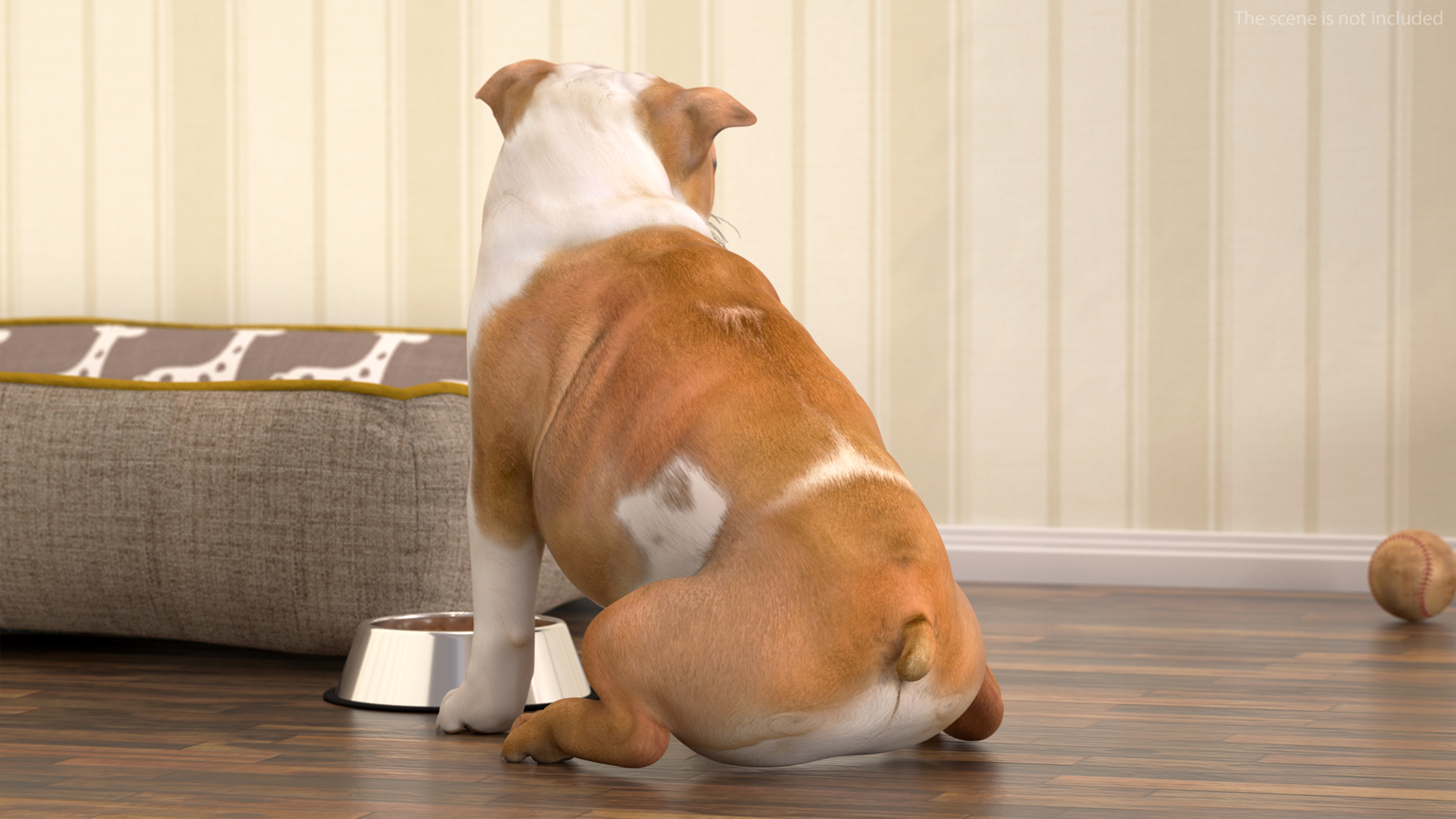 3D Bulldog Rigged for Maya model