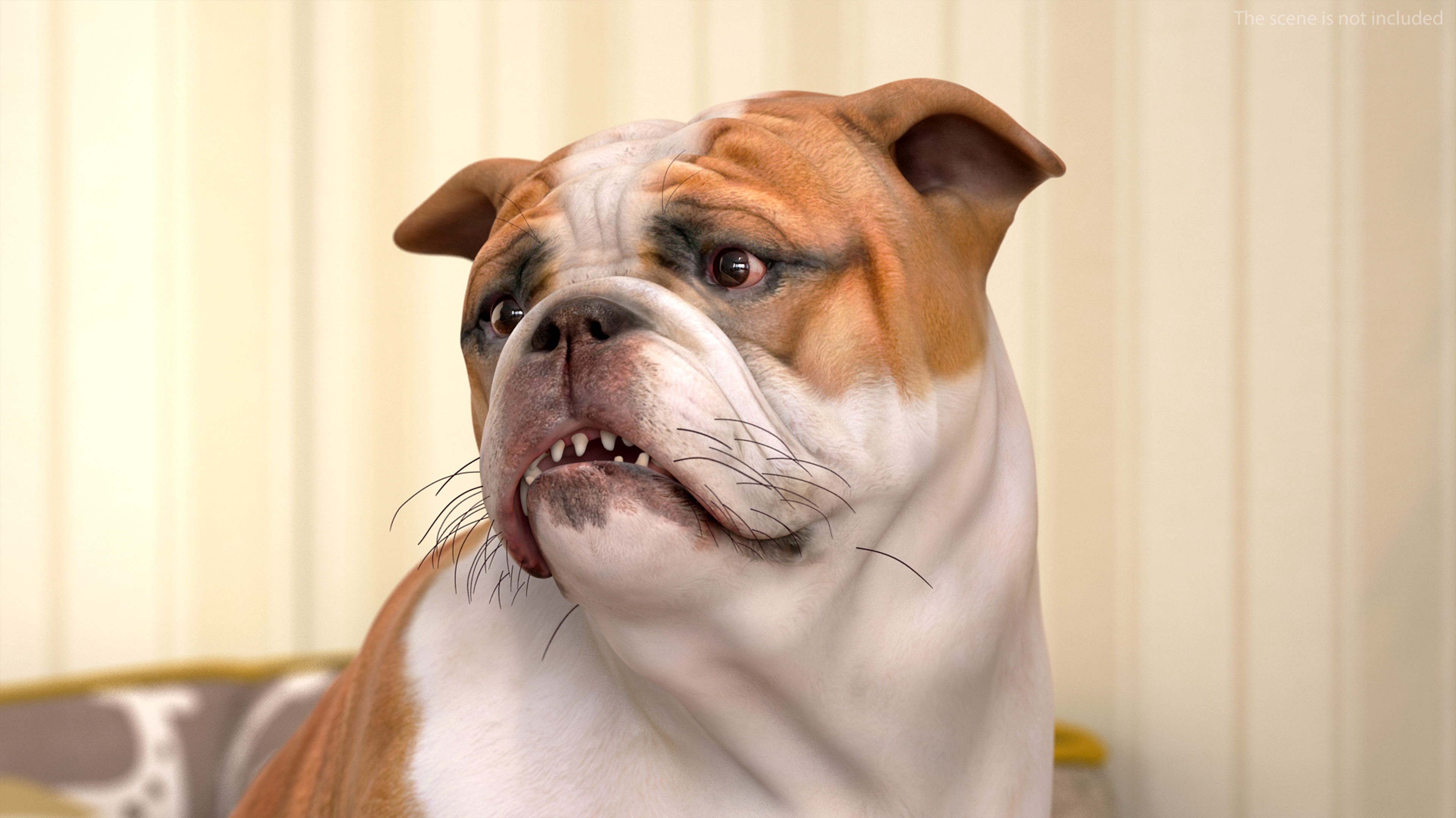 3D Bulldog Rigged for Maya model