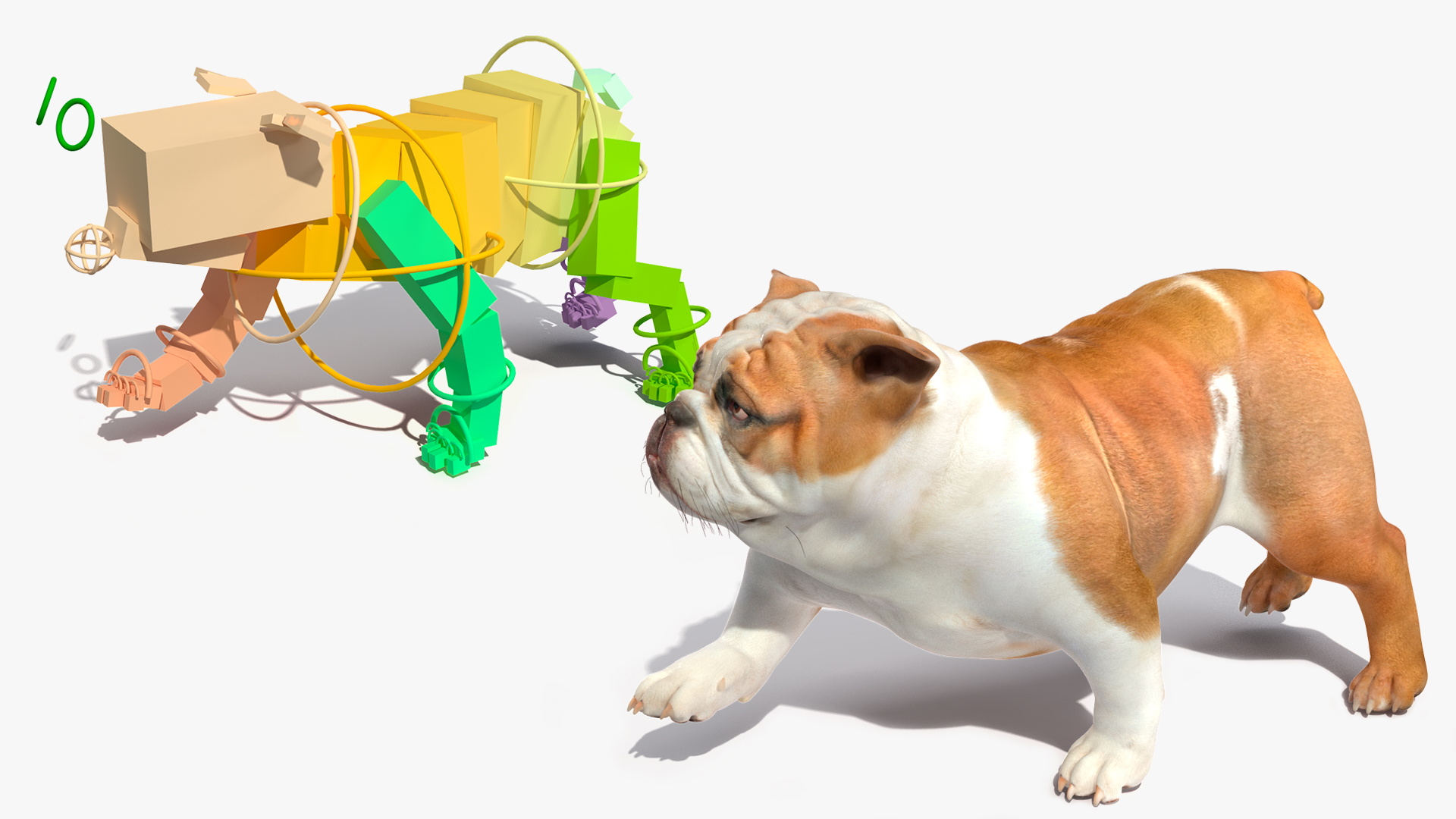3D Bulldog Rigged for Maya model