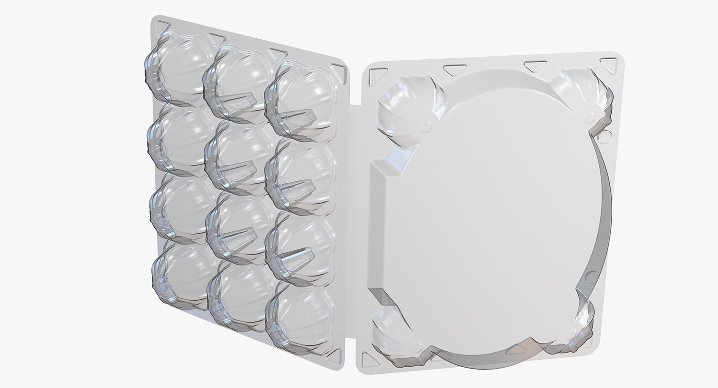 3D Empty Plastic Egg Box