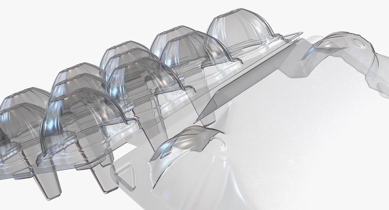 3D Empty Plastic Egg Box