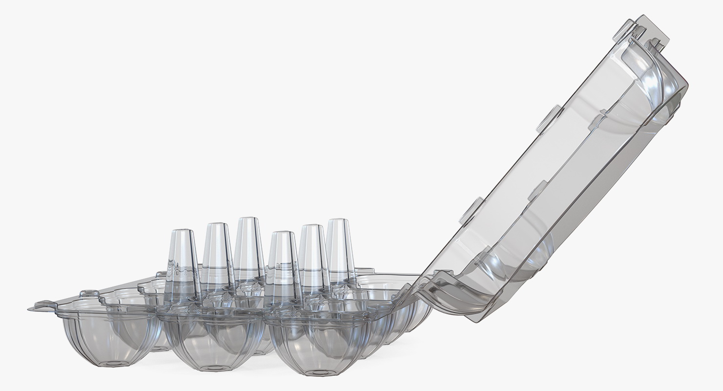 3D Empty Plastic Egg Box