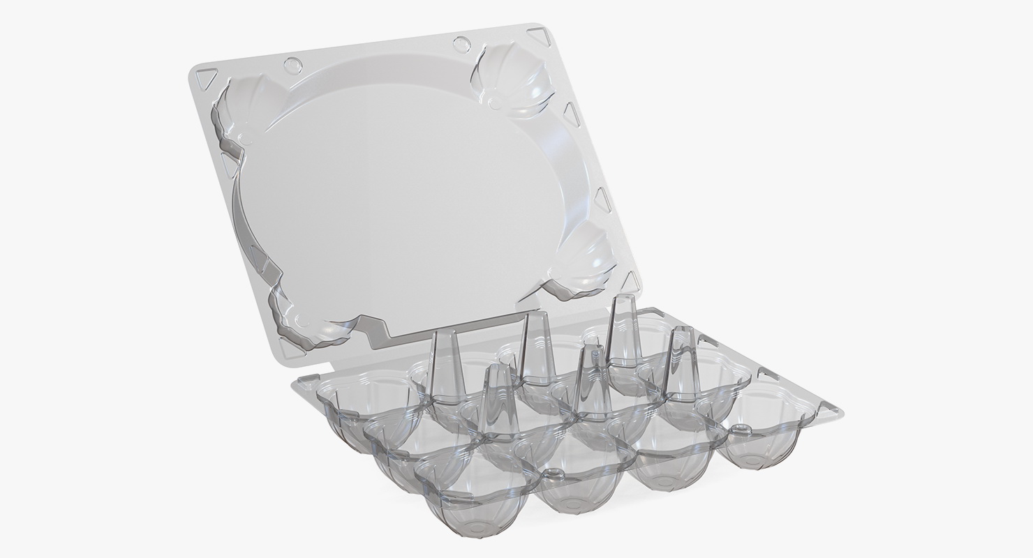3D Empty Plastic Egg Box