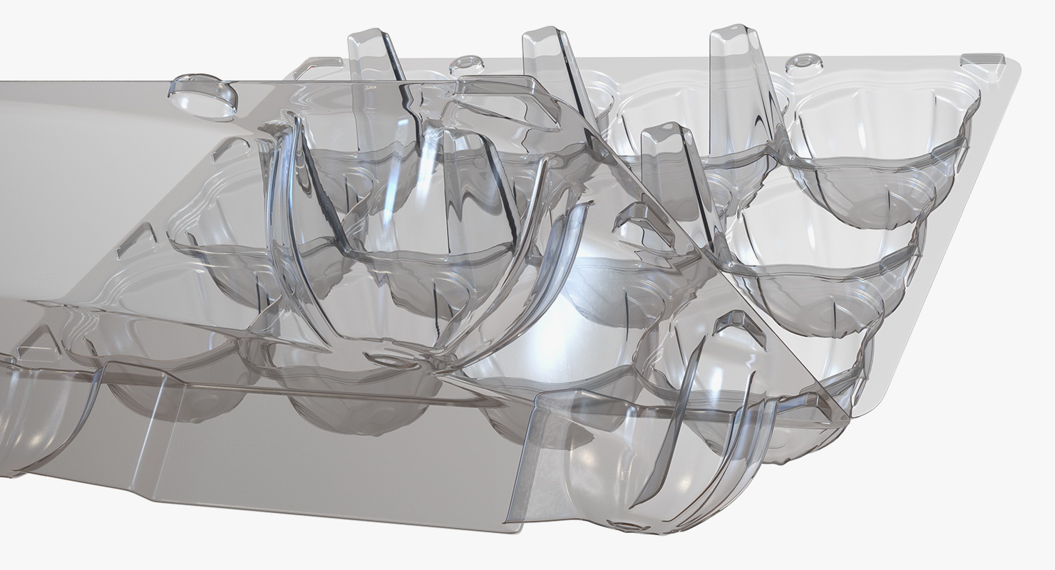 3D Empty Plastic Egg Box