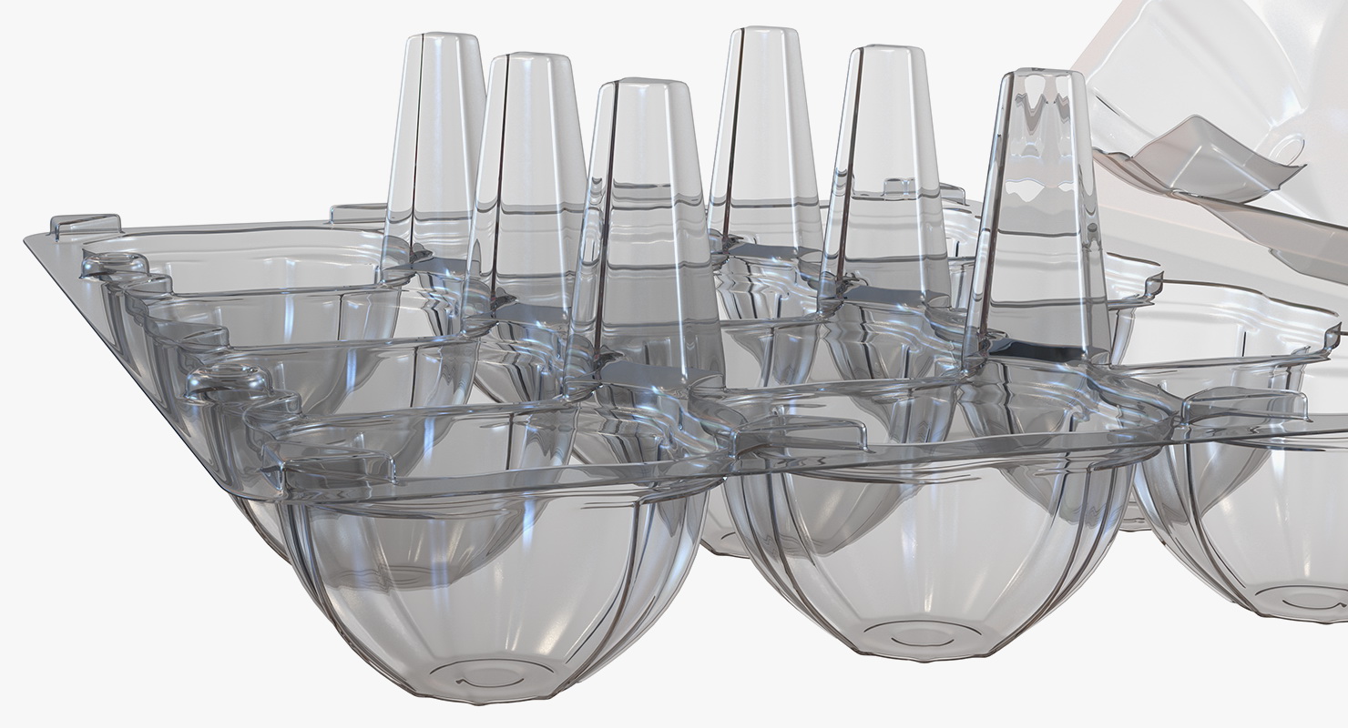 3D Empty Plastic Egg Box