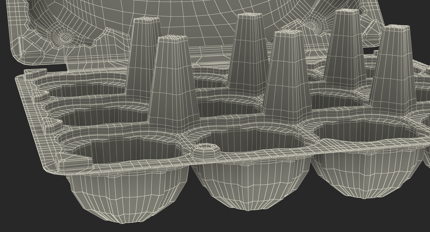 3D Empty Plastic Egg Box