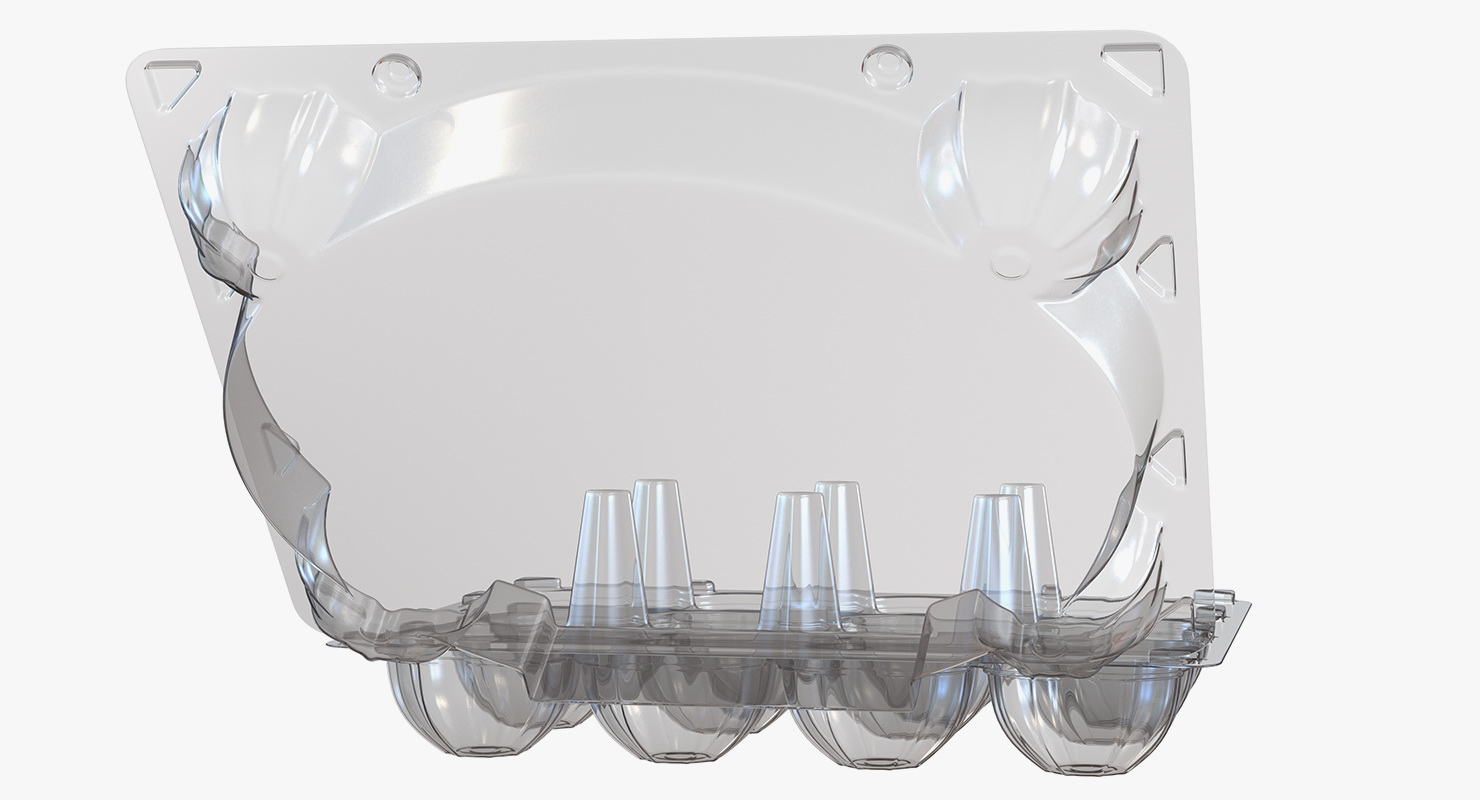 3D Empty Plastic Egg Box