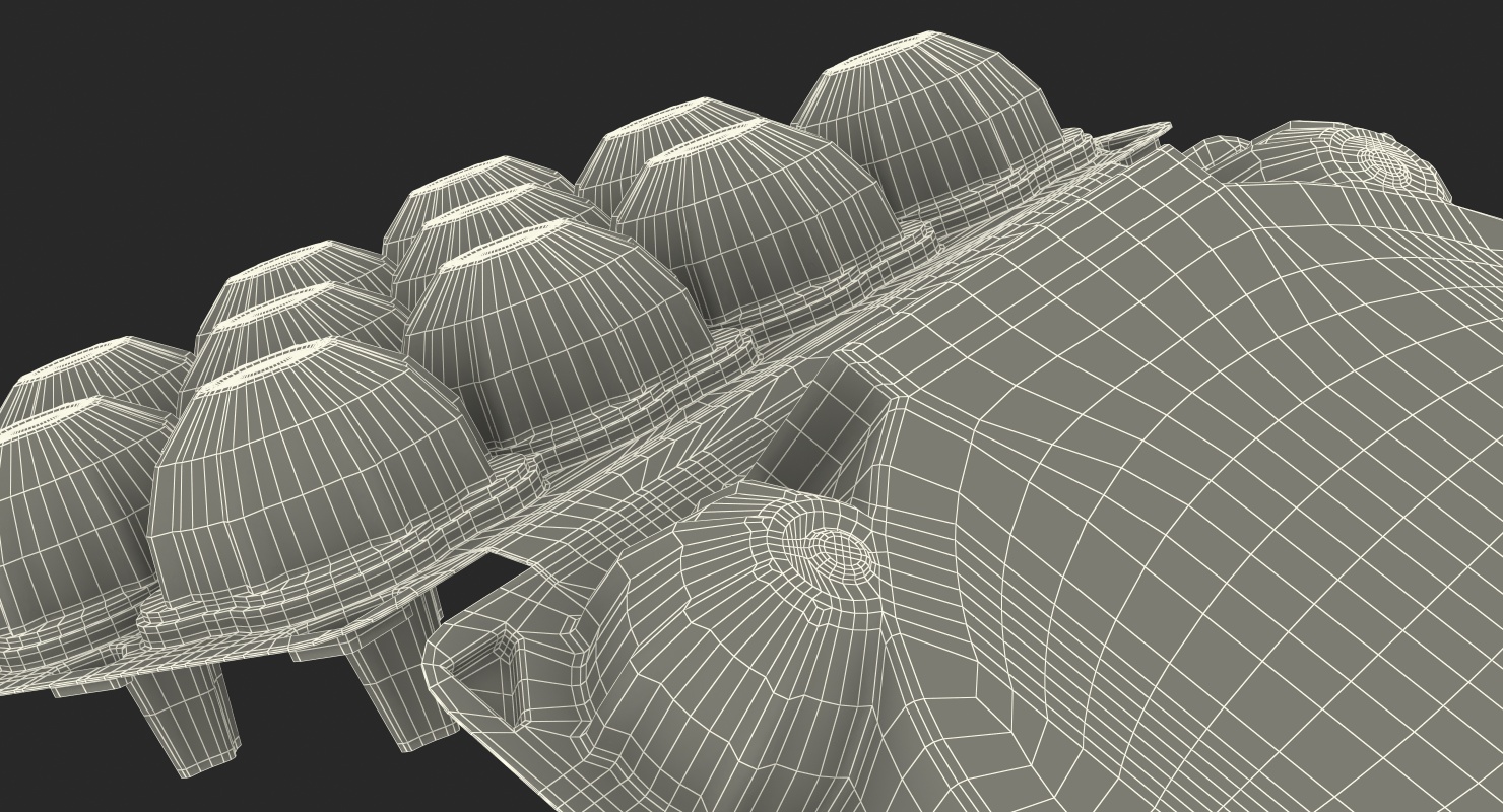 3D Empty Plastic Egg Box