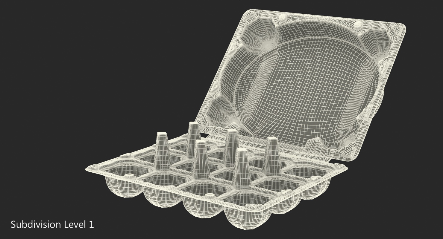3D Empty Plastic Egg Box