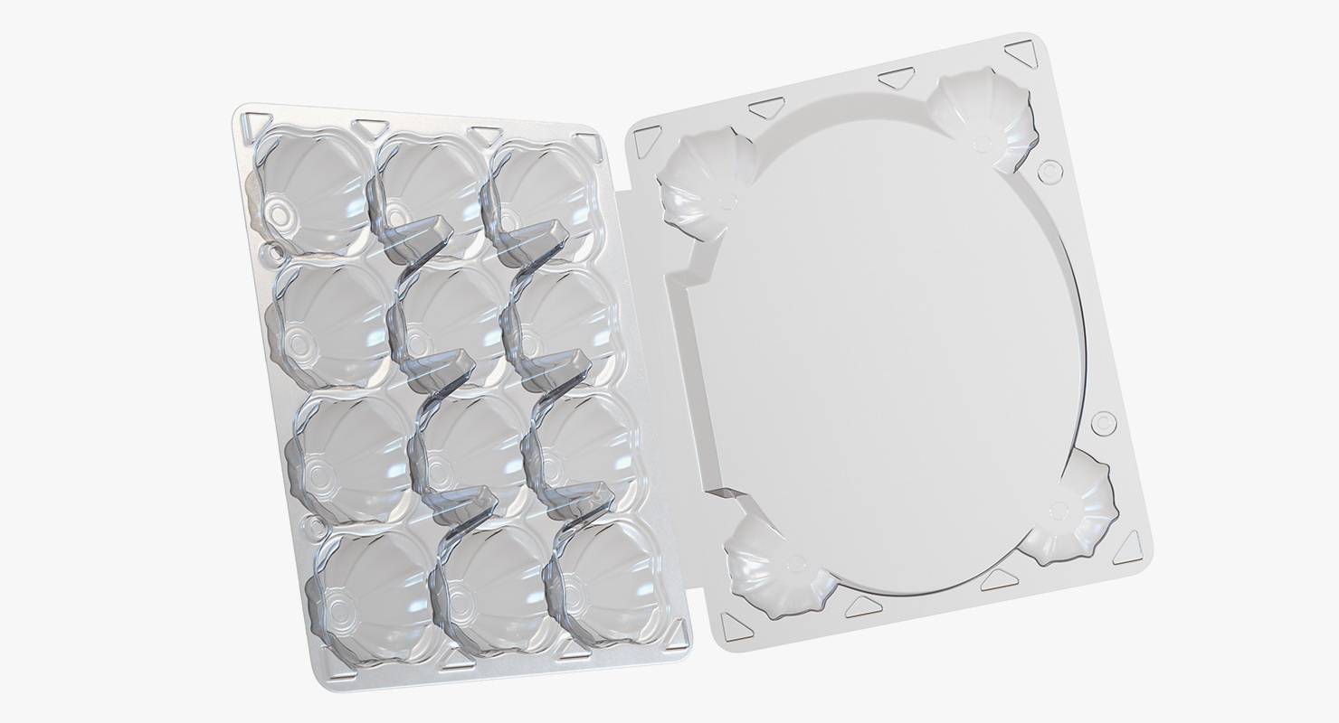 3D Empty Plastic Egg Box