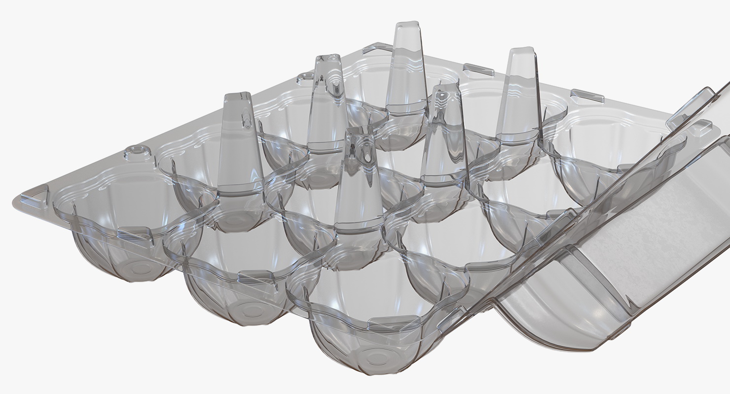 3D Empty Plastic Egg Box
