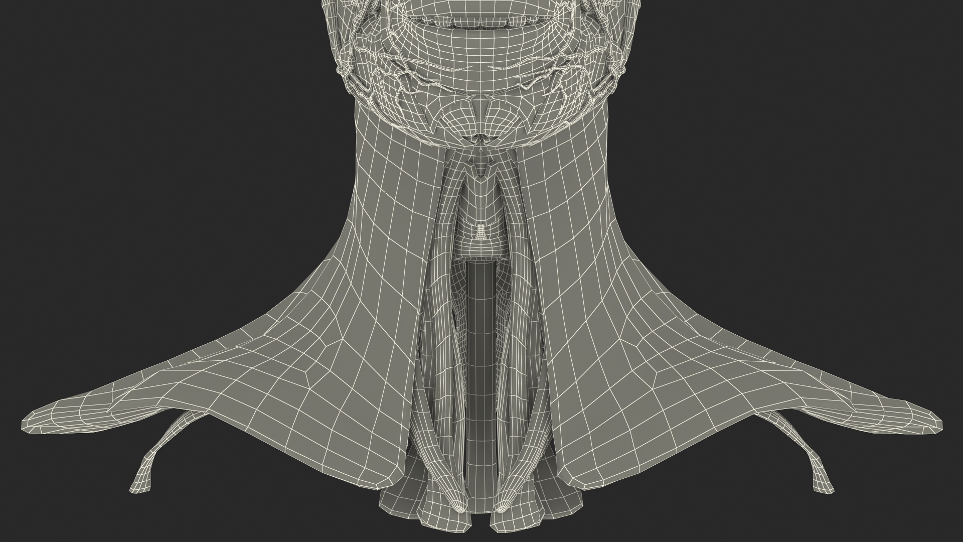 Female Anatomy Head 3D model