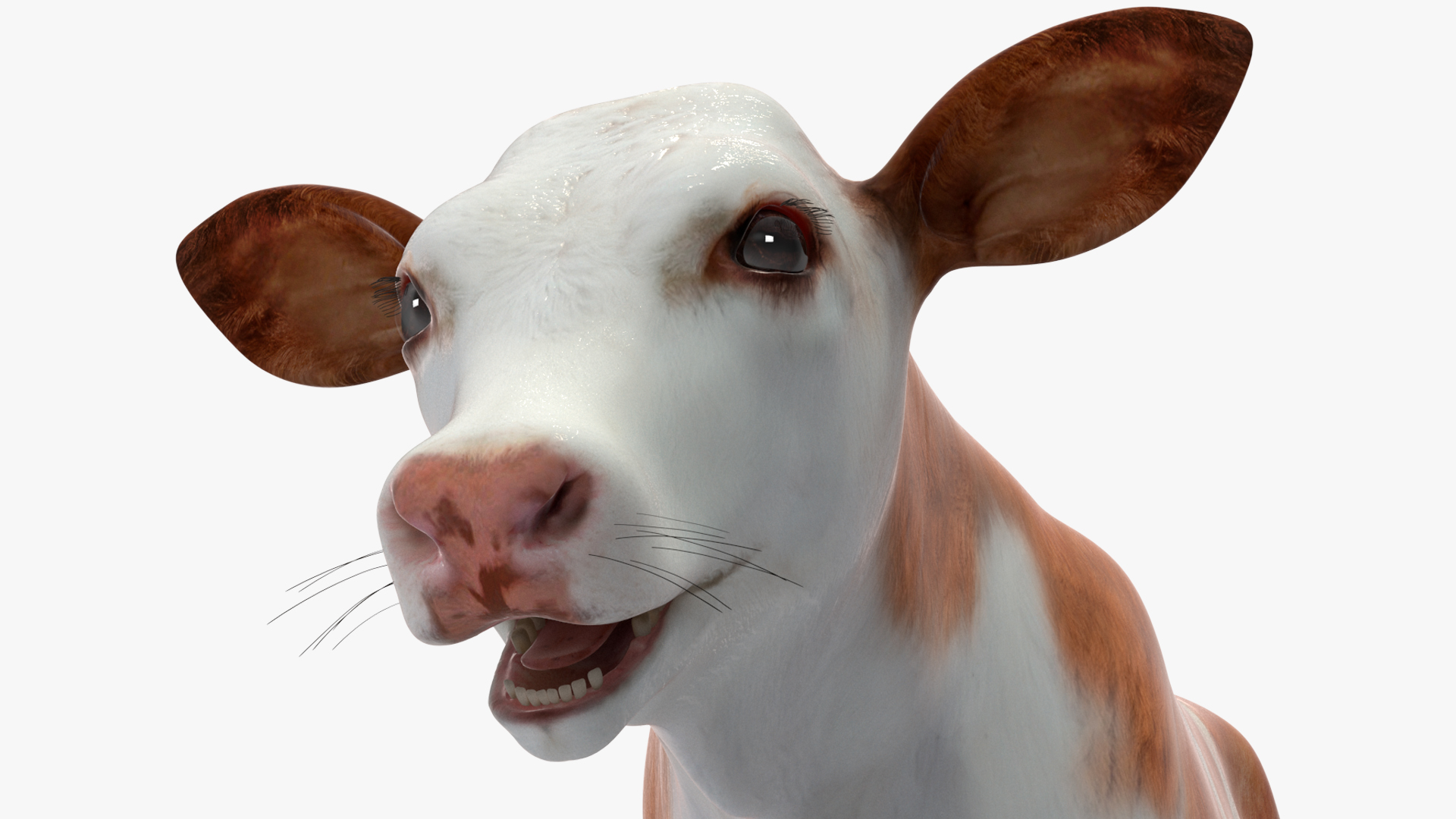 3D model Cow Calf