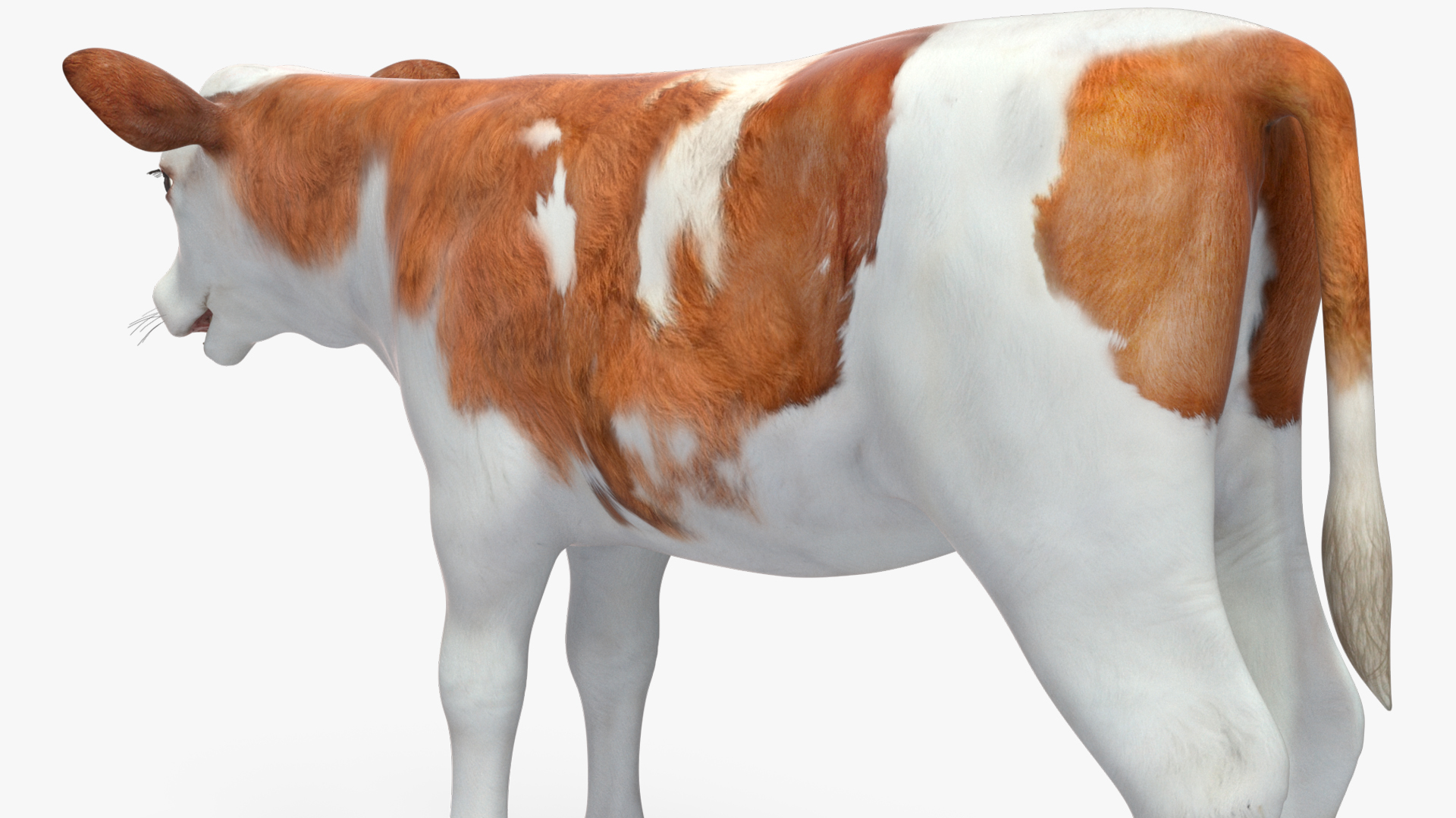3D model Cow Calf