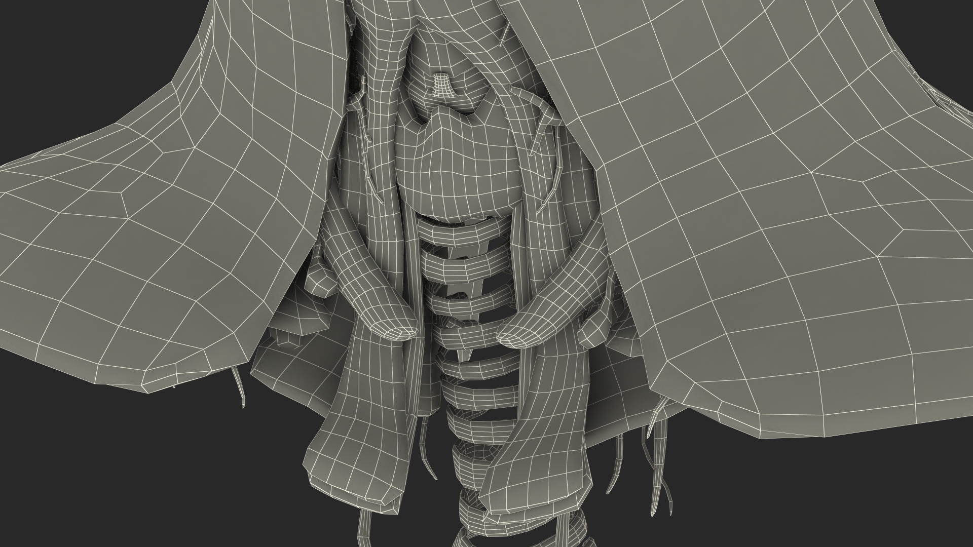 Young Man Anatomy Head 3D