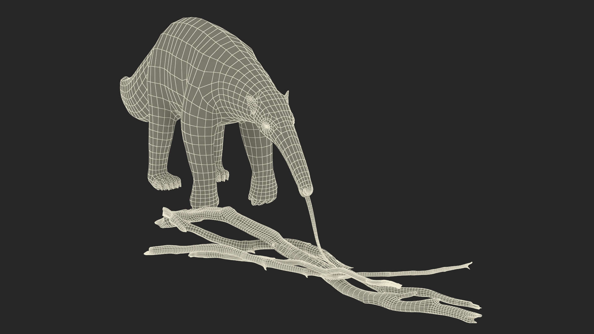 3D model Anteater Eats Termites from Branches Fur