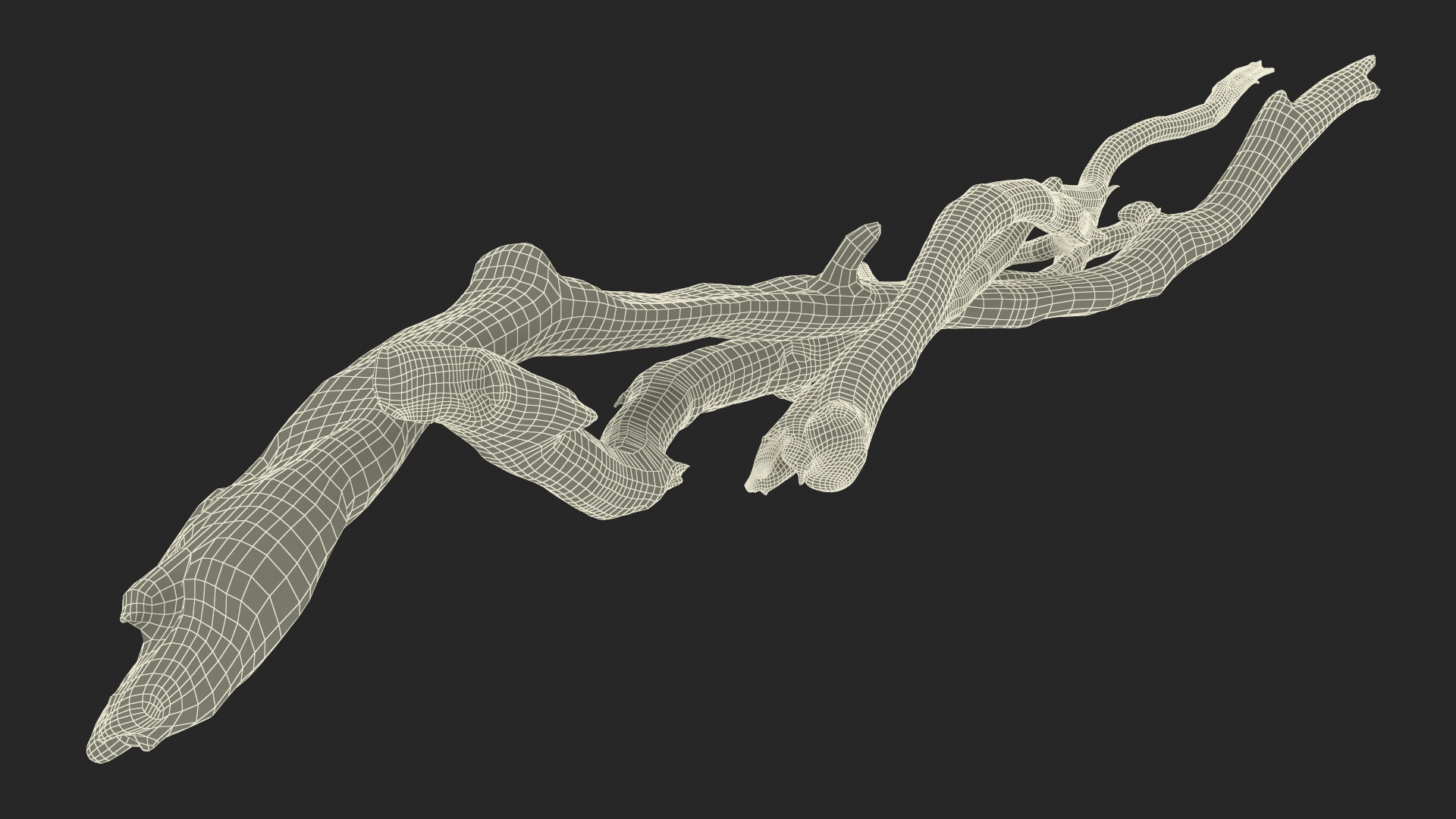 3D model Anteater Eats Termites from Branches Fur