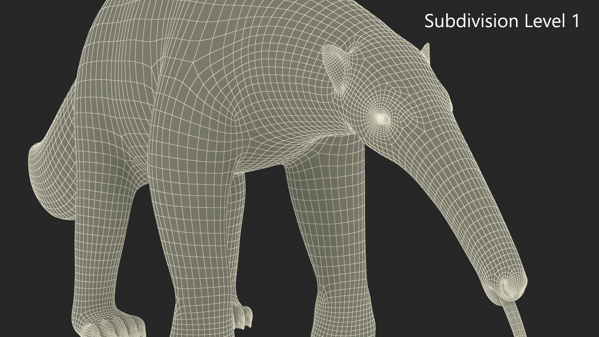 3D model Anteater Eats Termites from Branches Fur