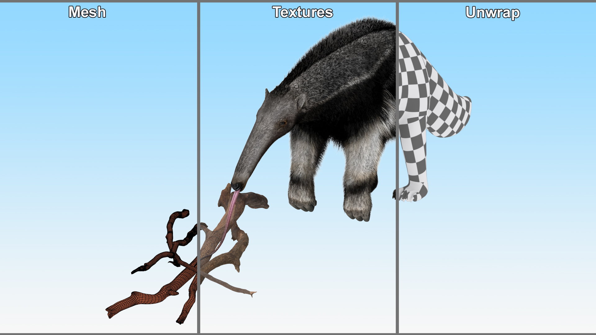 3D model Anteater Eats Termites from Branches Fur