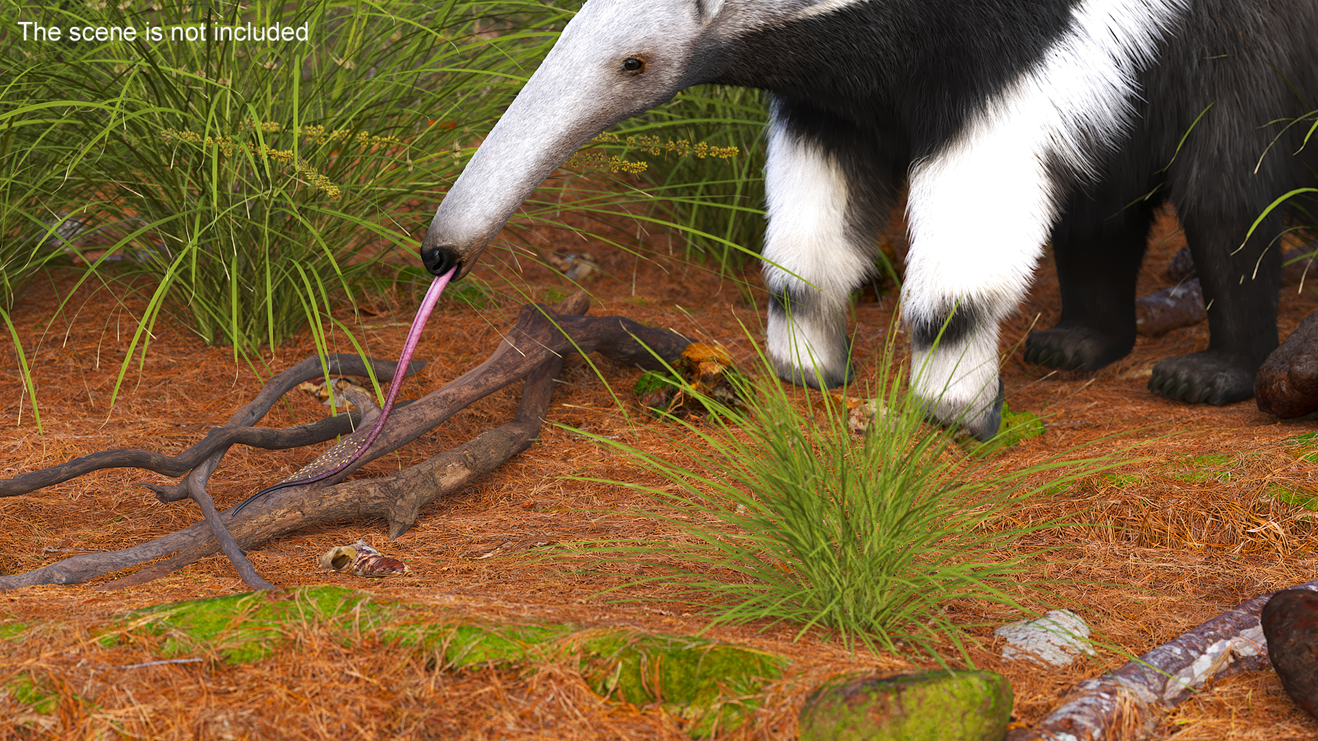 3D model Anteater Eats Termites from Branches Fur