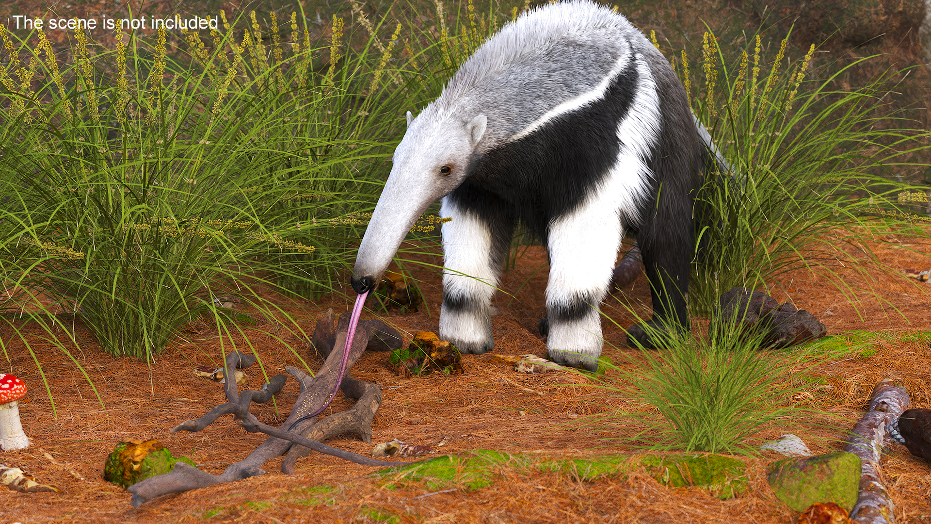 3D model Anteater Eats Termites from Branches Fur