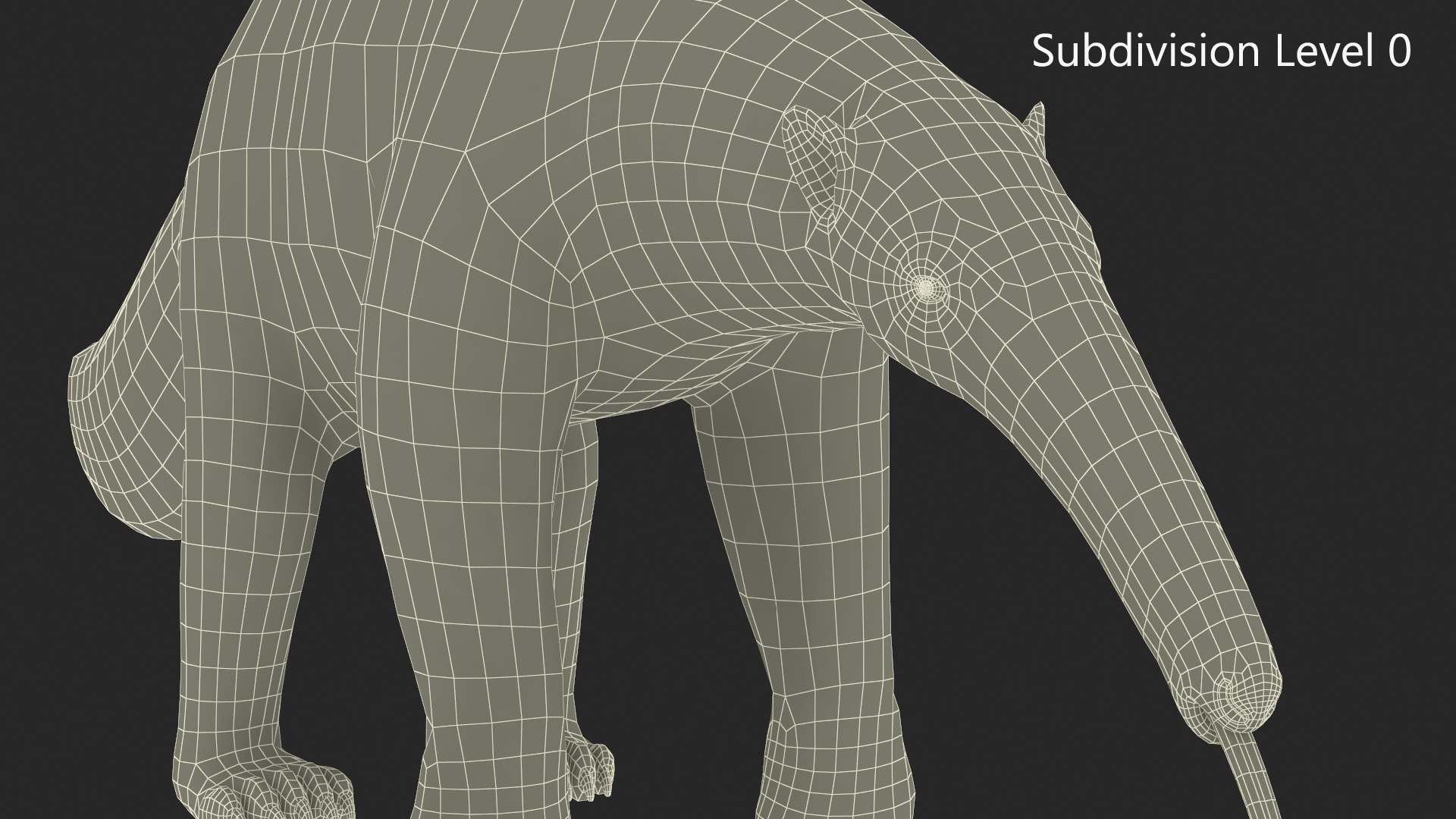 3D model Anteater Eats Termites from Branches Fur