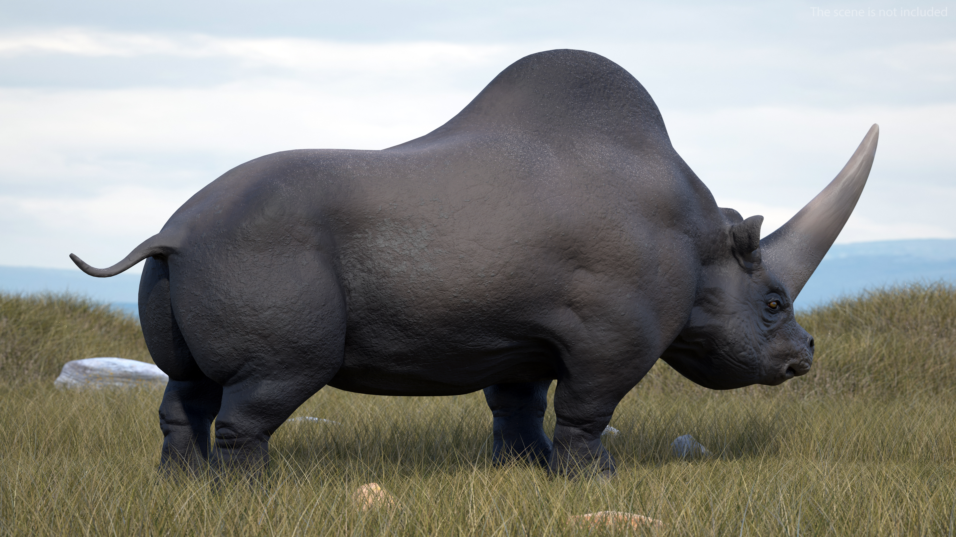 Elasmotherium Rigged for Maya 3D model