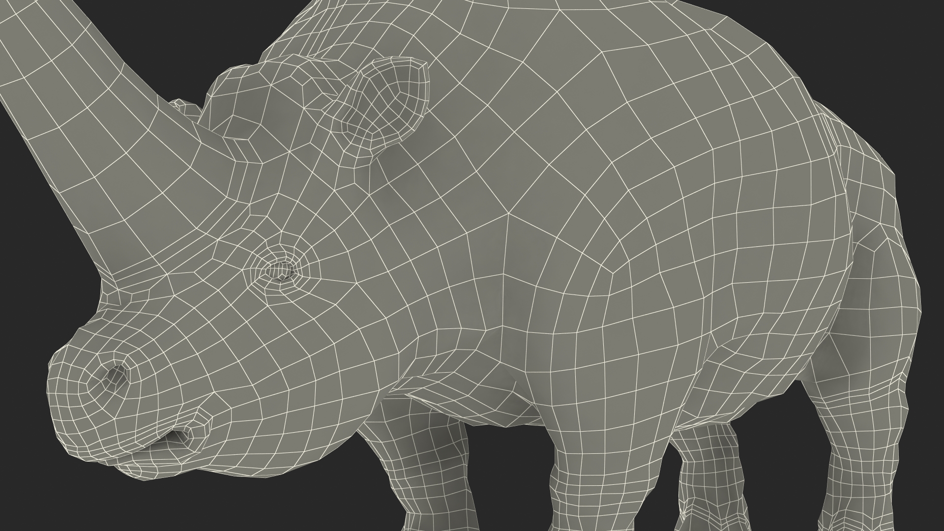 Elasmotherium Rigged for Maya 3D model