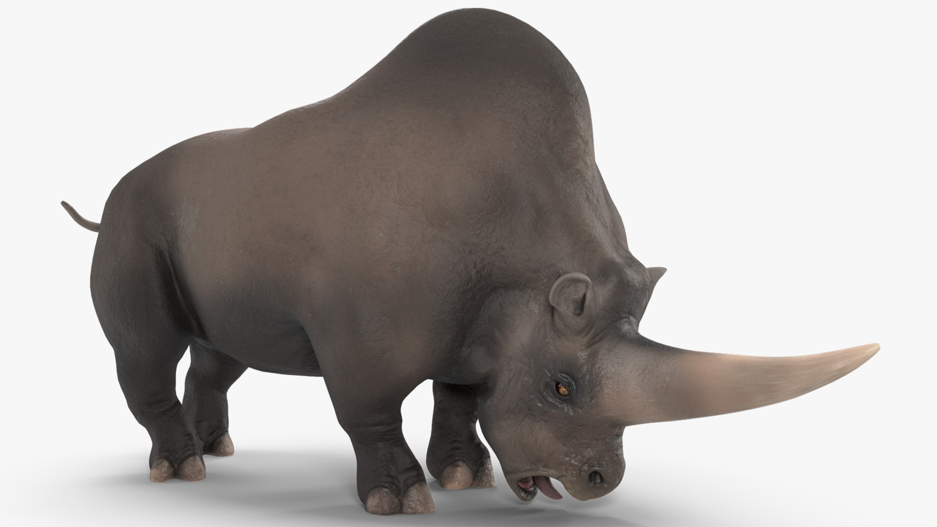 Elasmotherium Rigged for Maya 3D model