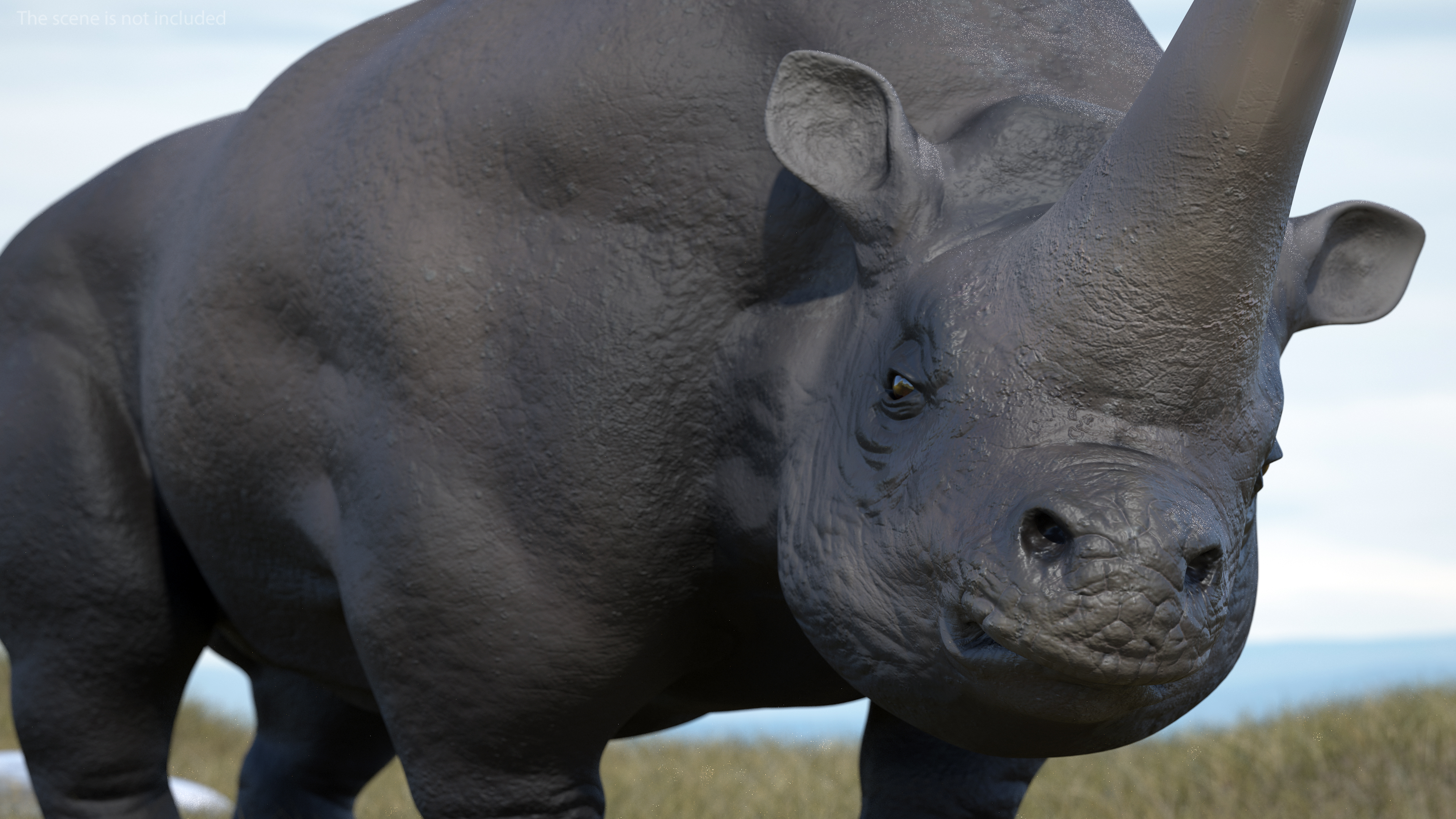 Elasmotherium Rigged for Maya 3D model