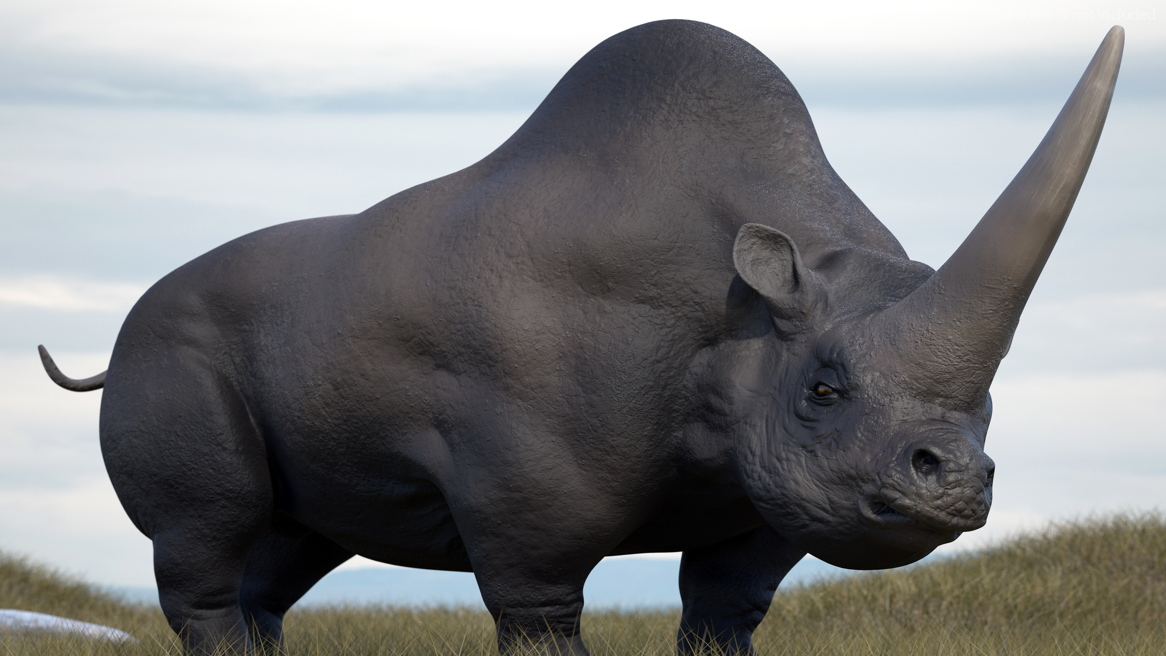 Elasmotherium Rigged for Maya 3D model