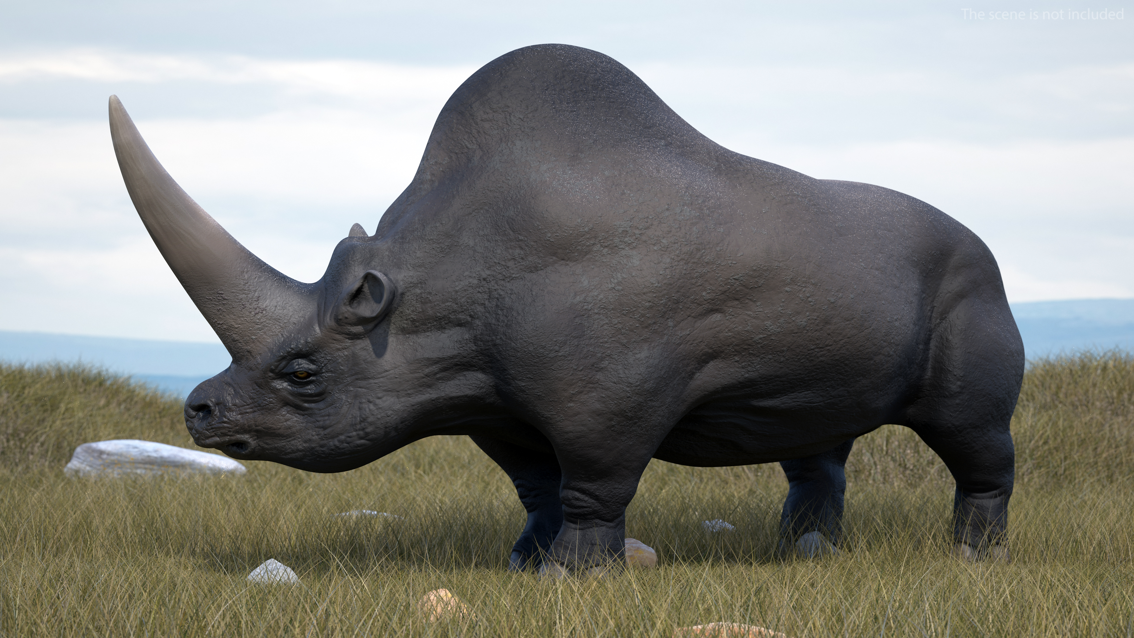 Elasmotherium Rigged for Maya 3D model