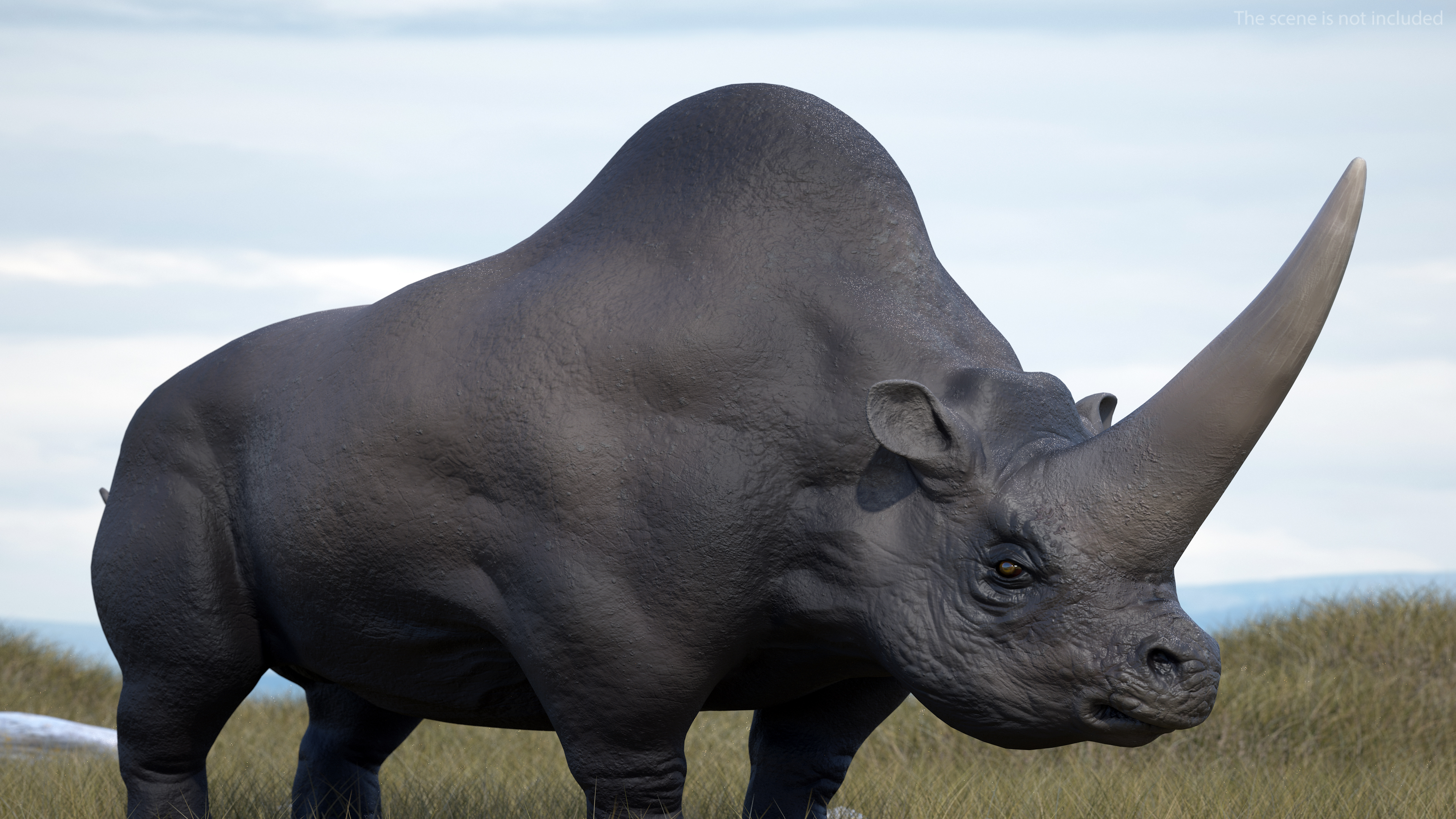 Elasmotherium Rigged for Maya 3D model