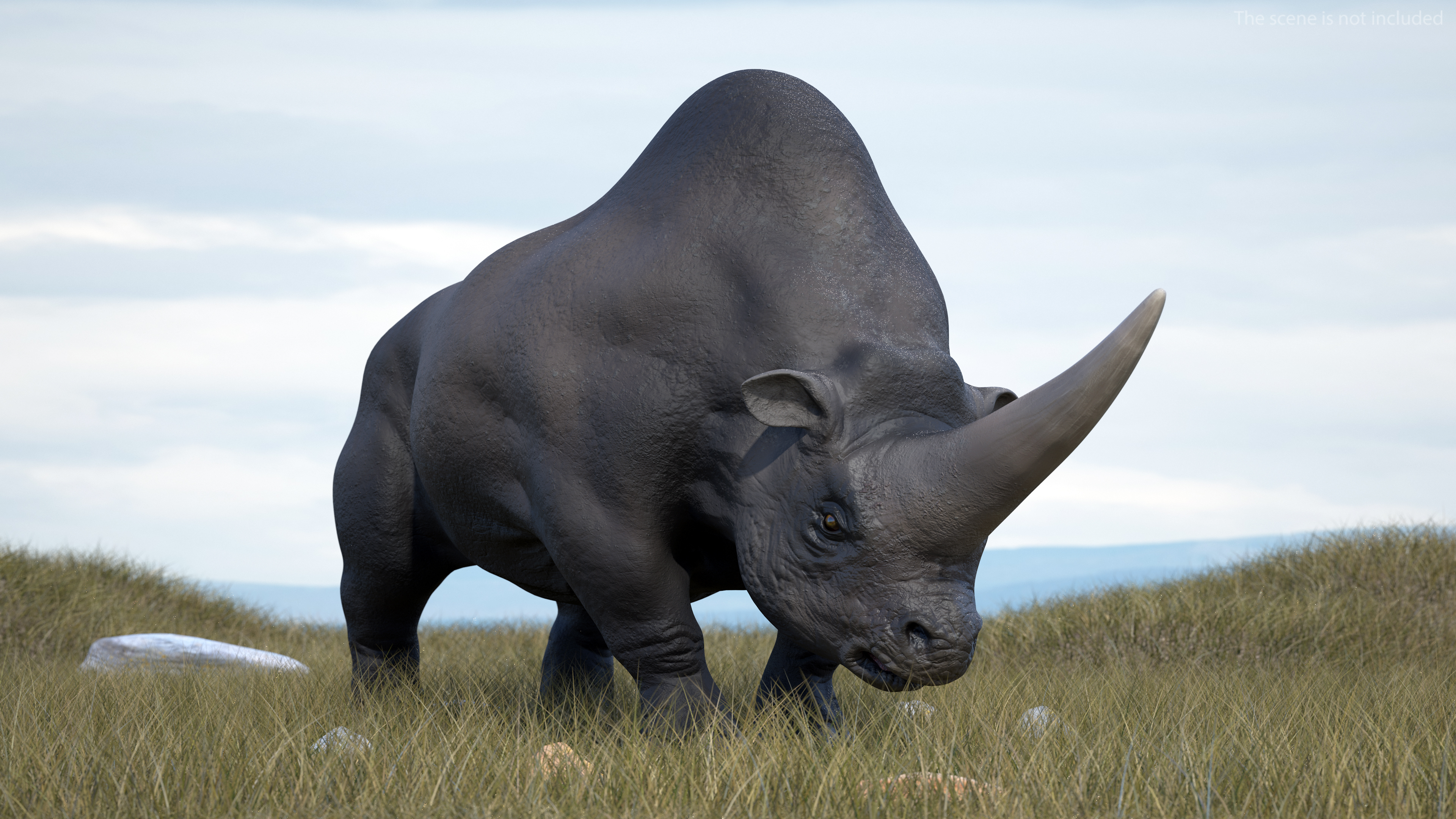Elasmotherium Rigged for Maya 3D model