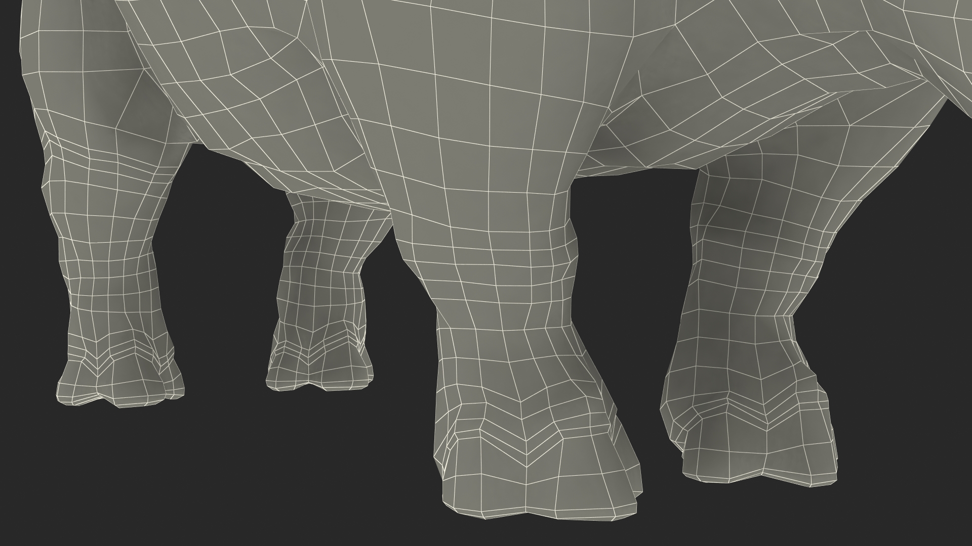 Elasmotherium Rigged for Maya 3D model