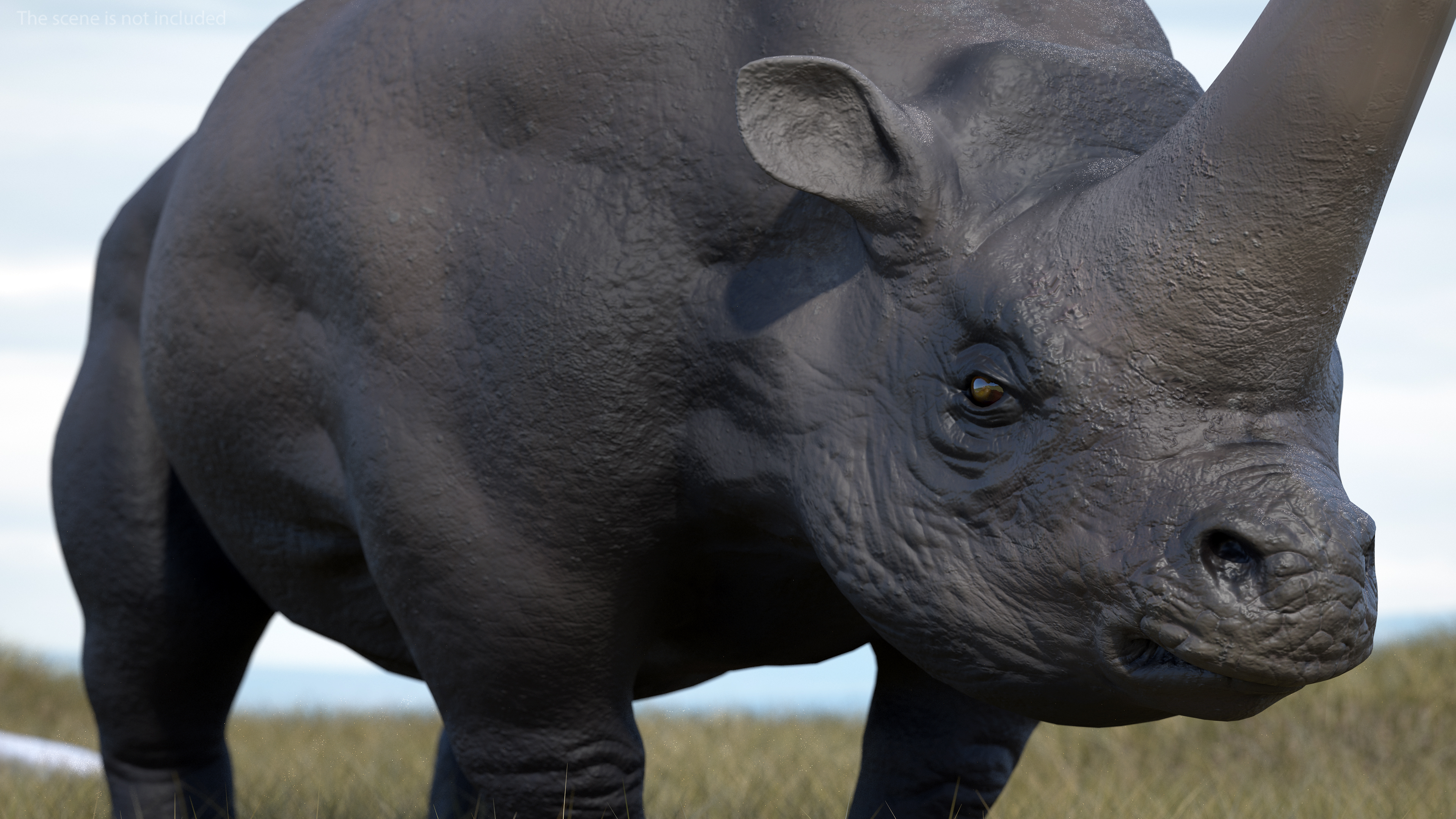 Elasmotherium Rigged for Maya 3D model