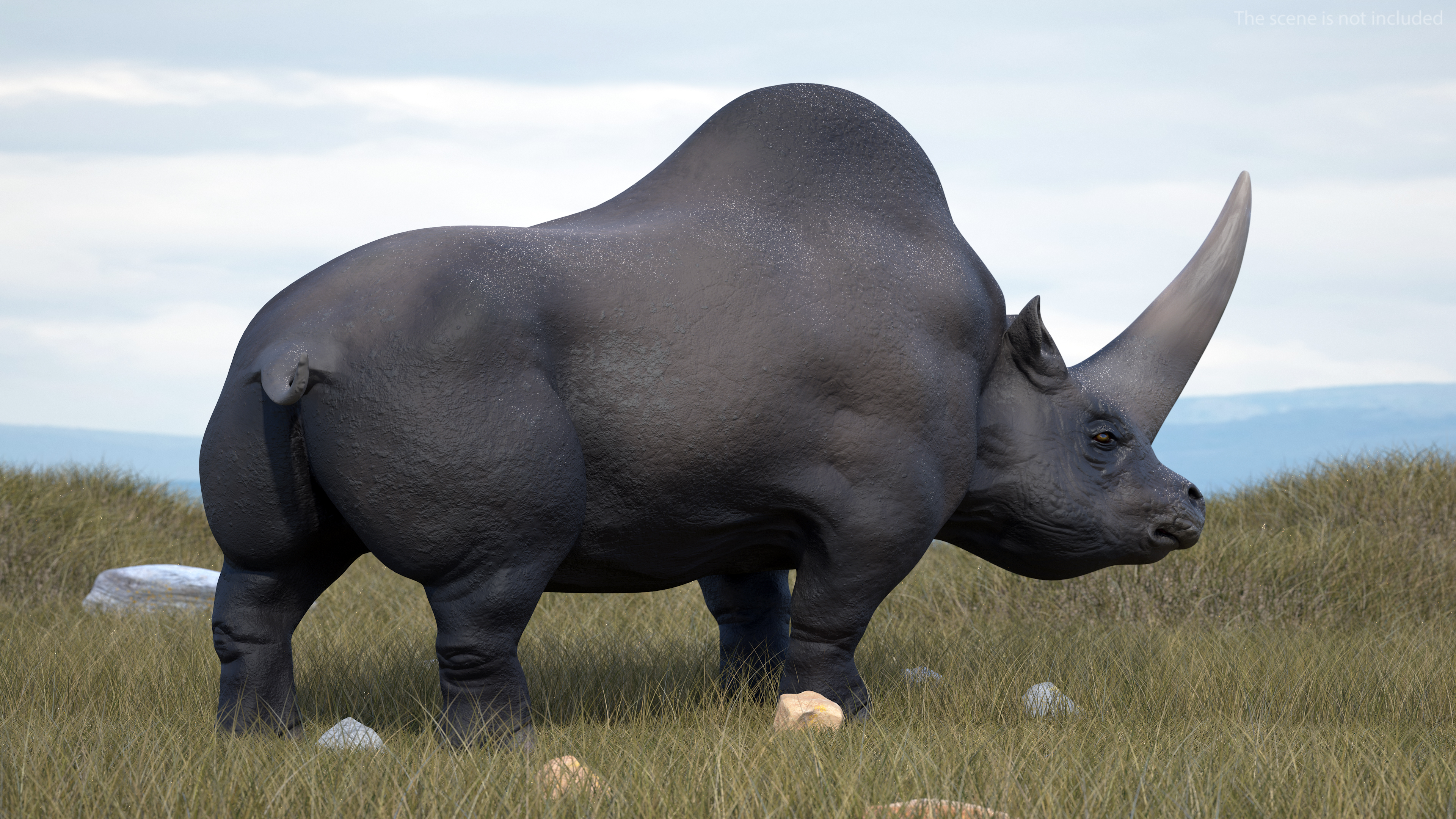 Elasmotherium Rigged for Maya 3D model