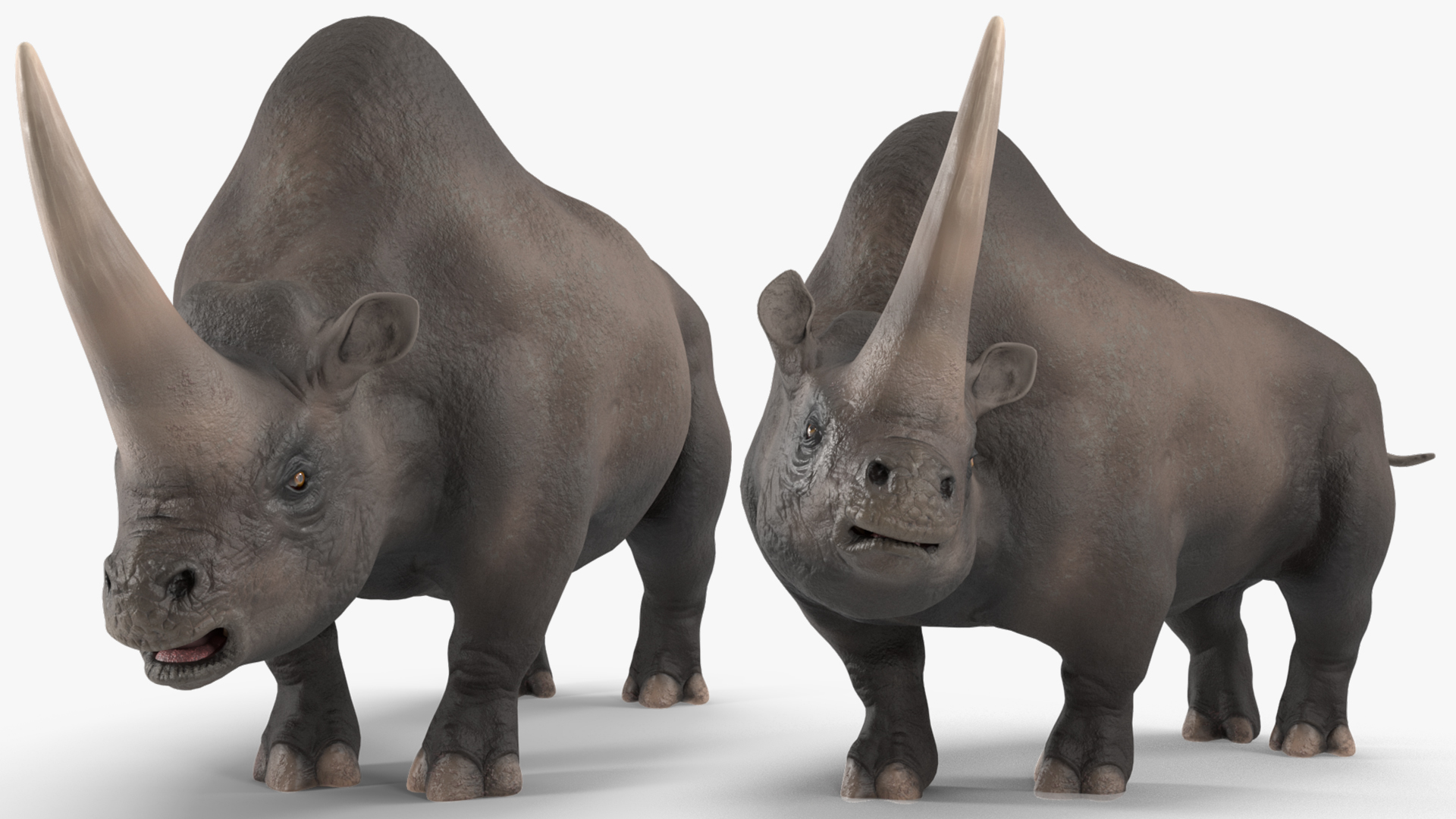 Elasmotherium Rigged for Maya 3D model