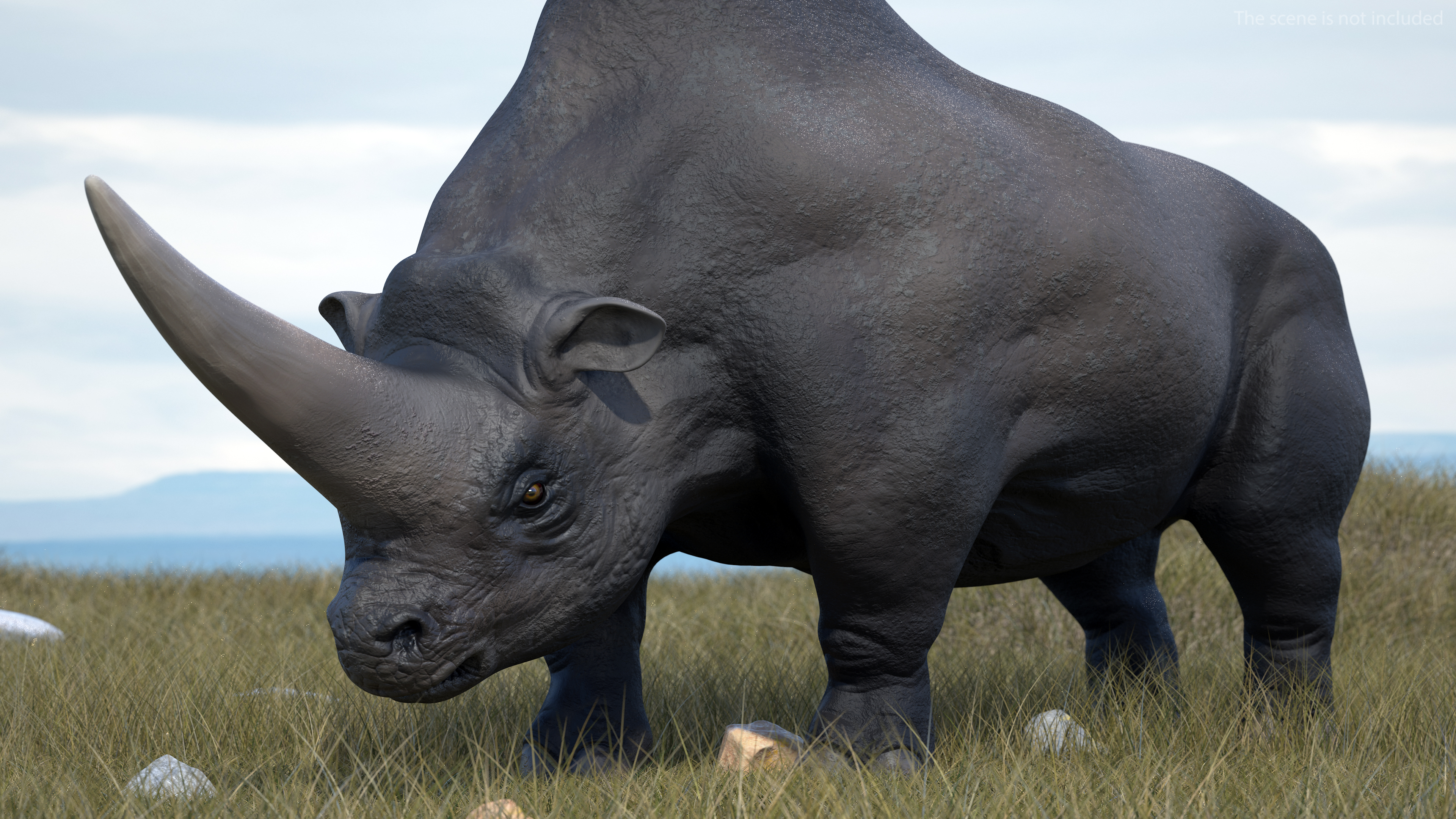 Elasmotherium Rigged for Maya 3D model