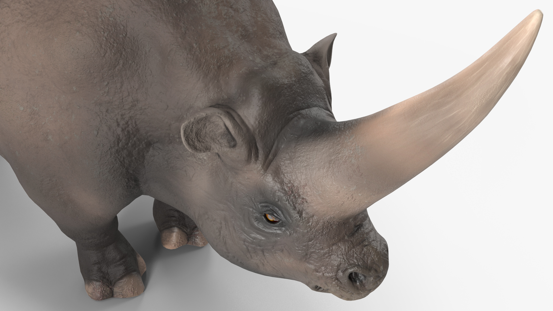 Elasmotherium Rigged for Maya 3D model