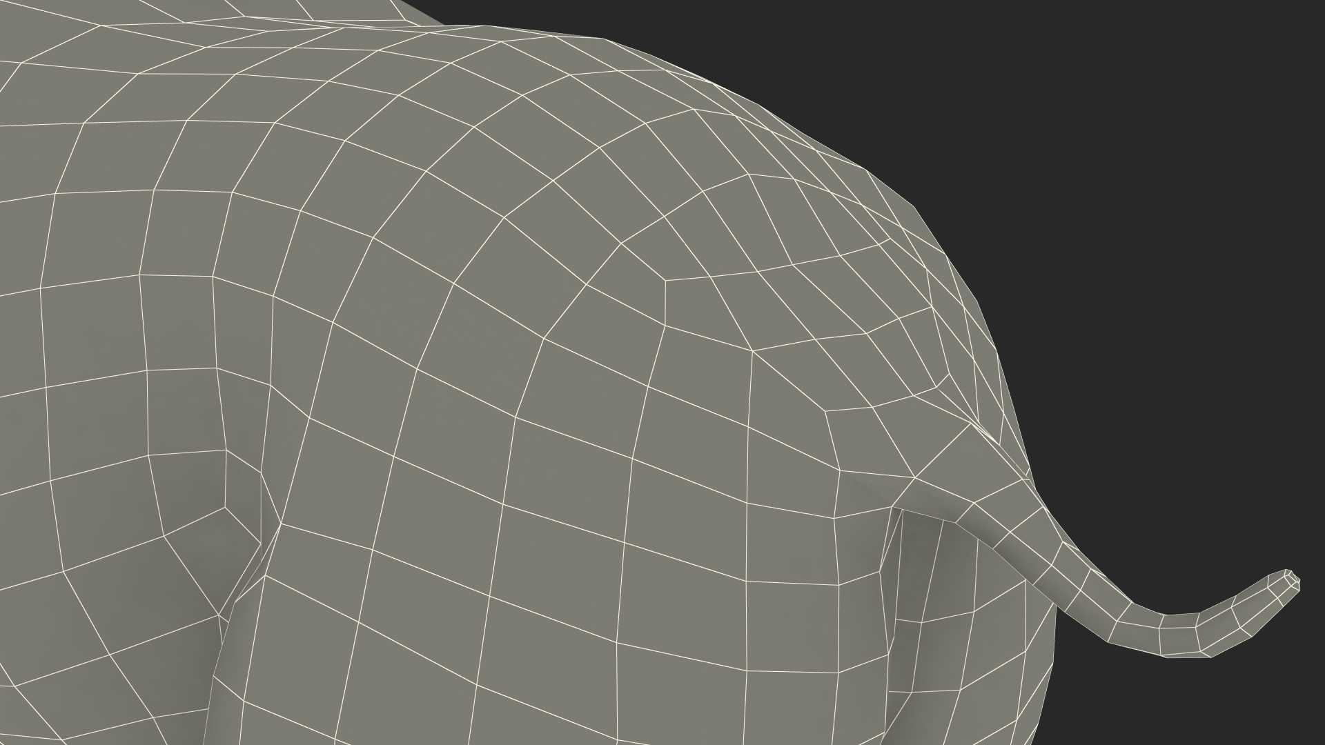 Elasmotherium Rigged for Maya 3D model
