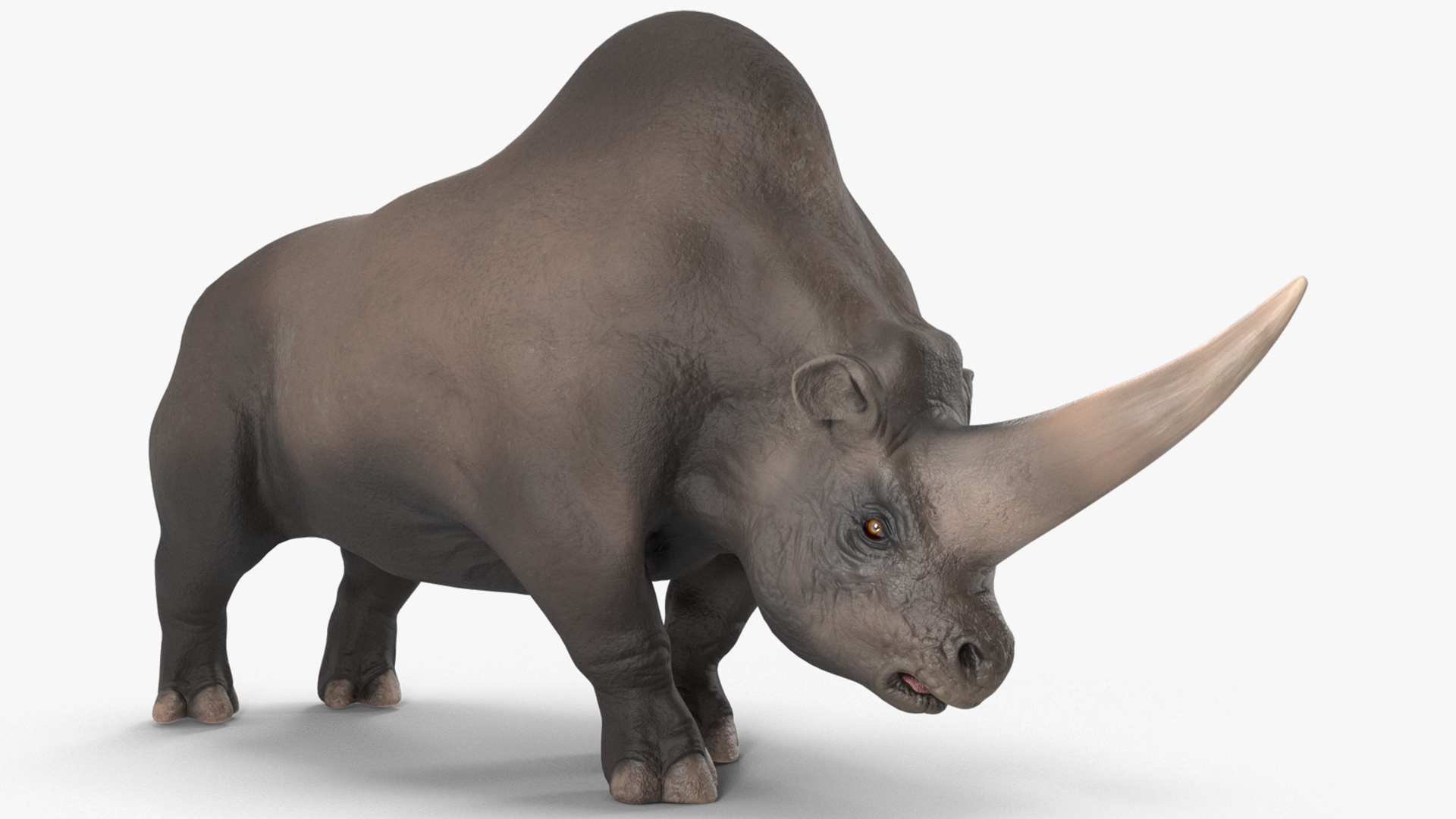Elasmotherium Rigged for Maya 3D model