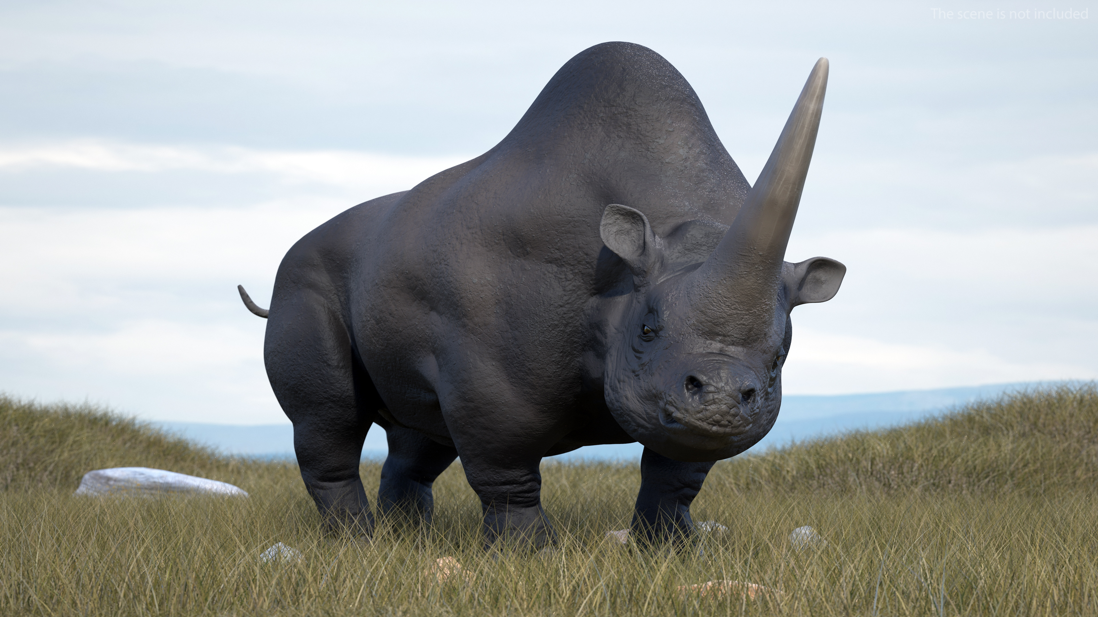 Elasmotherium Rigged for Maya 3D model